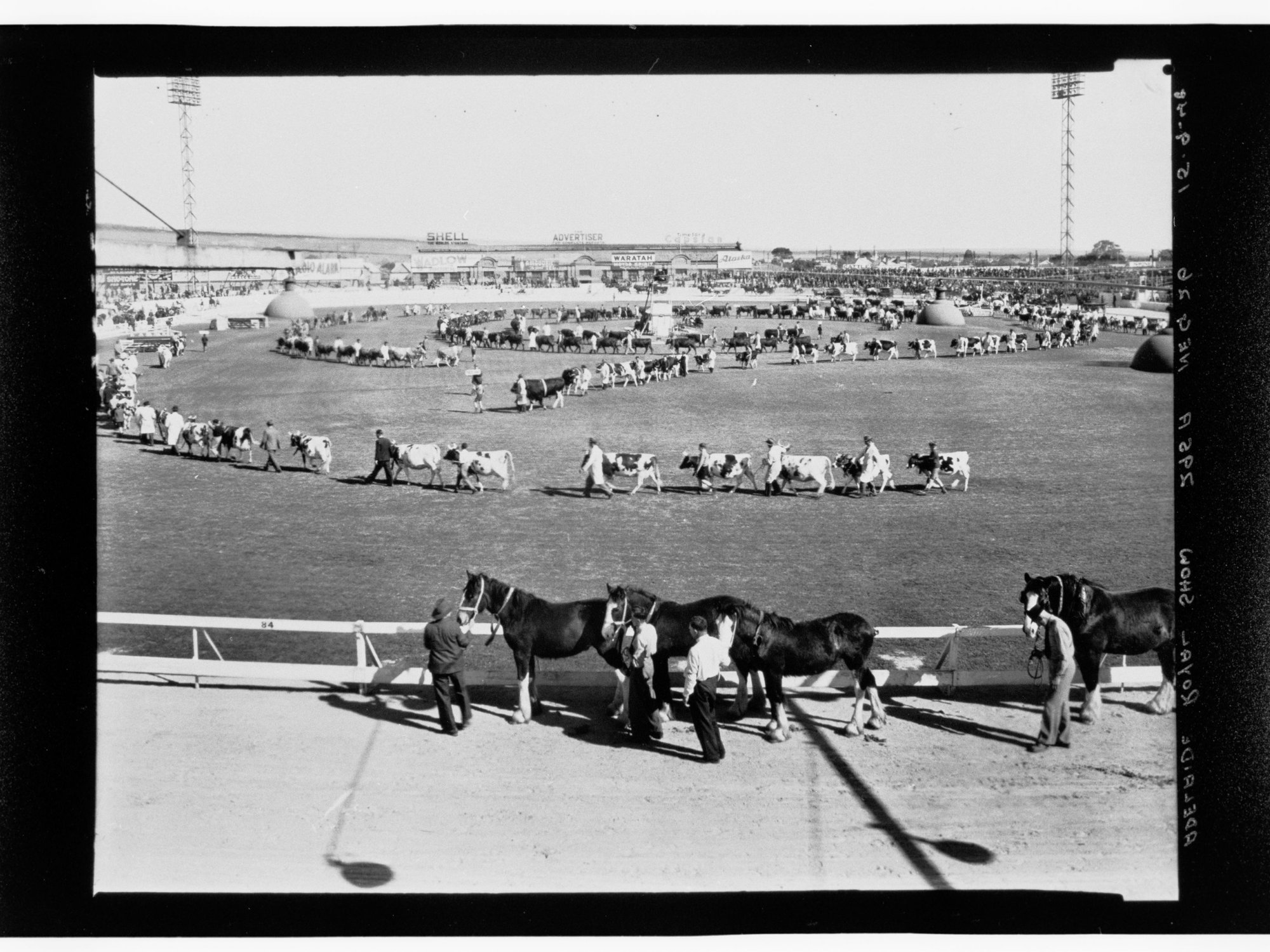 Royal Adelaide Show Parade, c. 1948