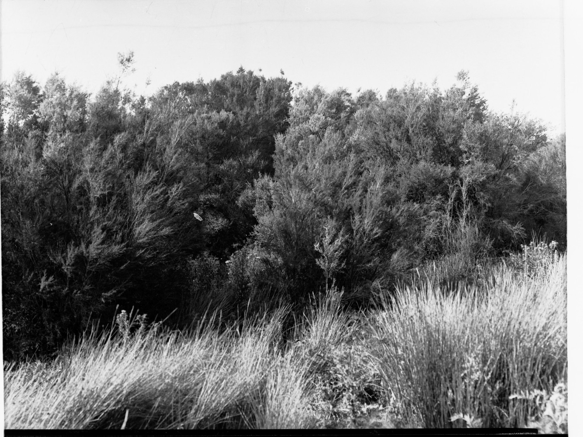 South East drainage Tea Tree Gully
