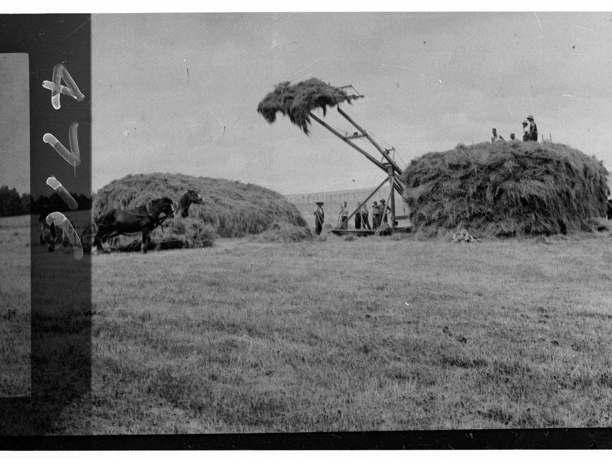 Men Building a Haystack