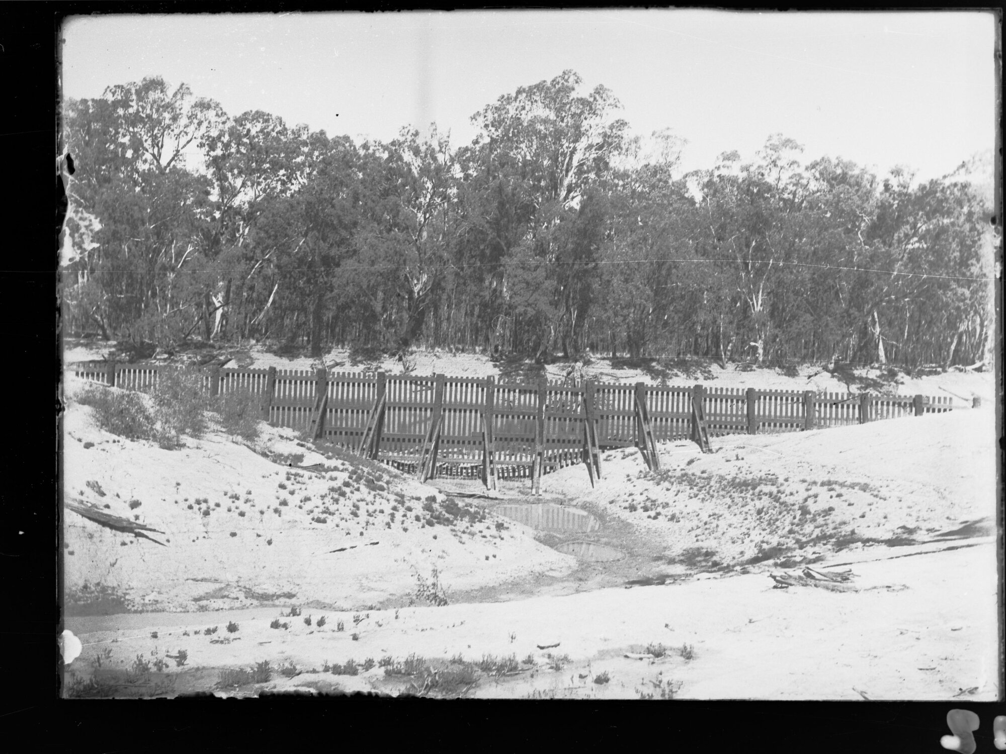 Irrigation works on the River Murray