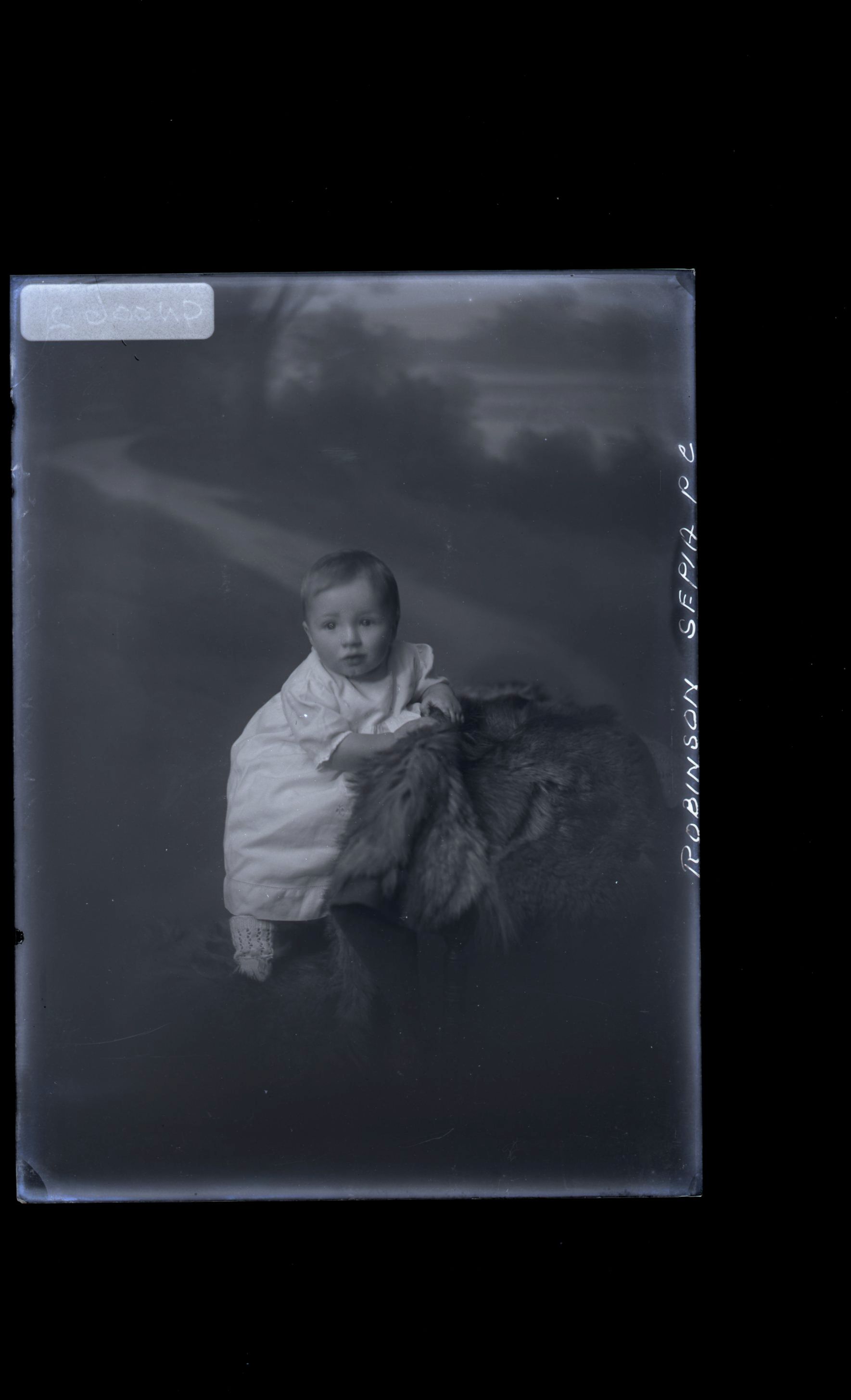 Infant - Robinson