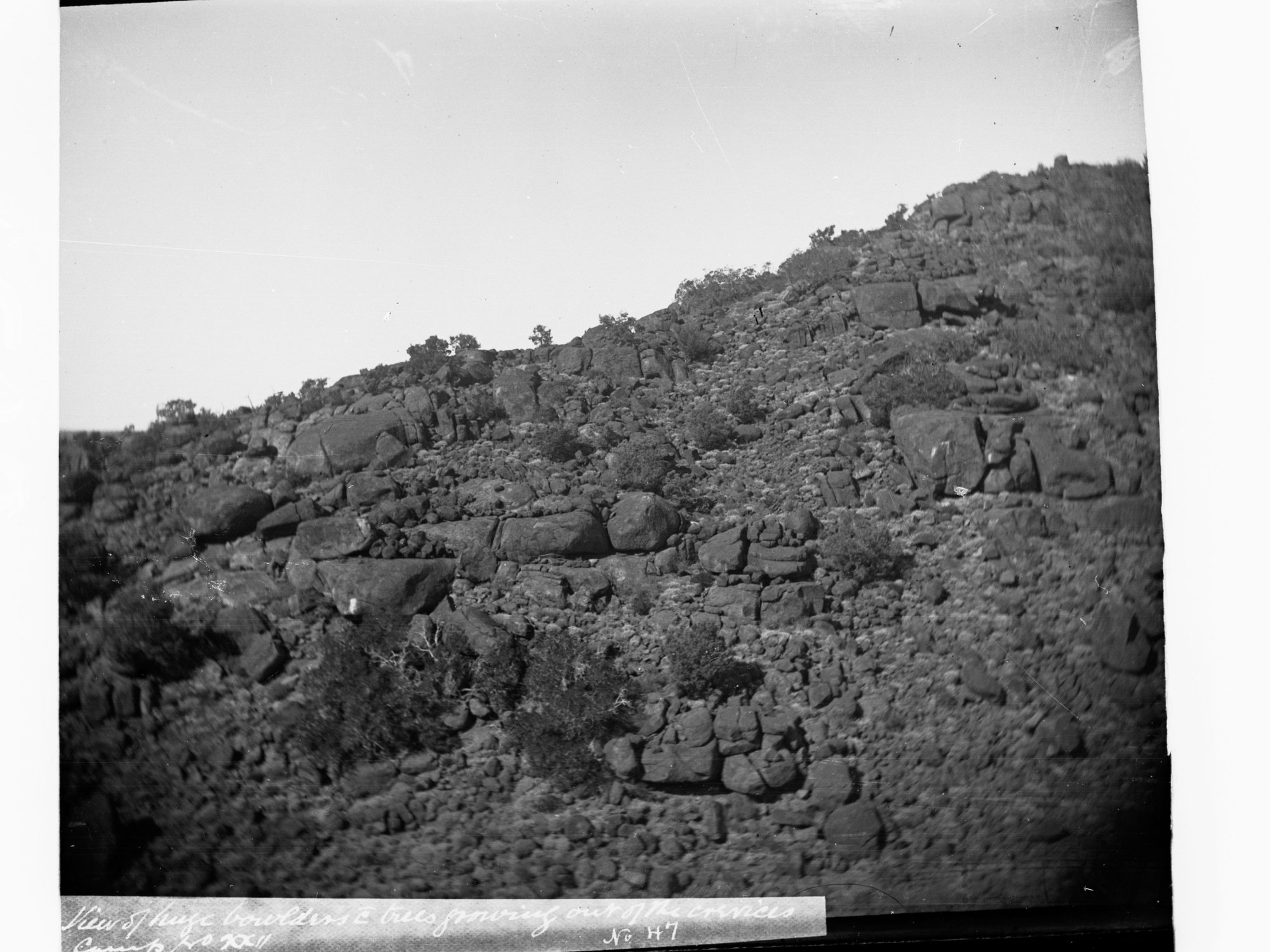 View of Huge Boulders and Trees Elder Scientific Expedition