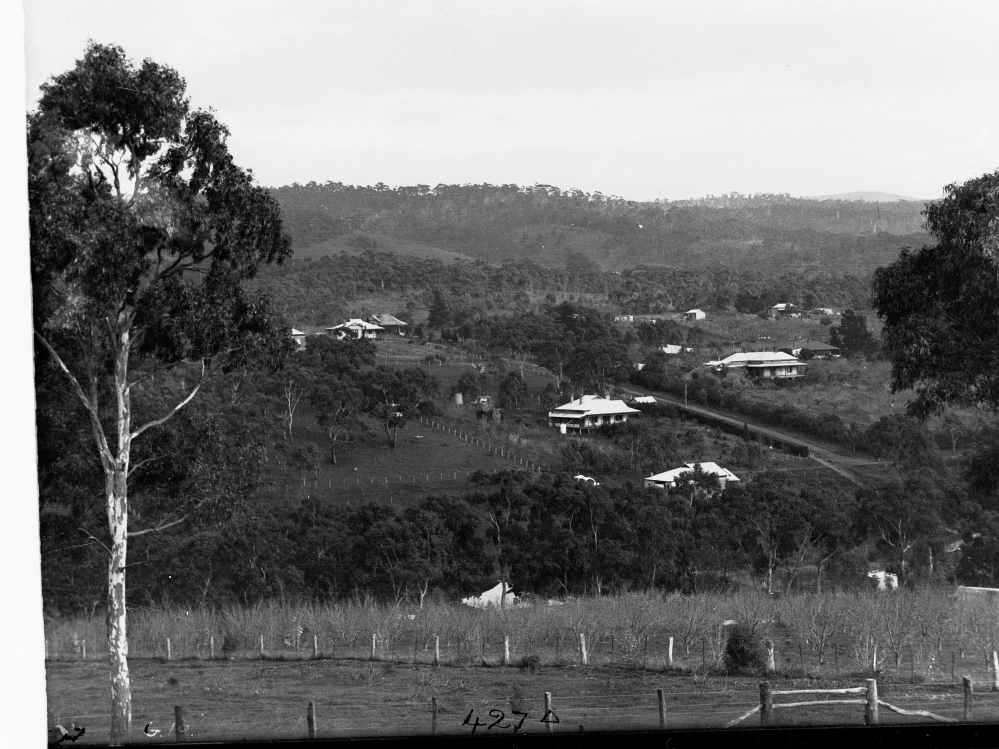 Blackwood Showing Housing