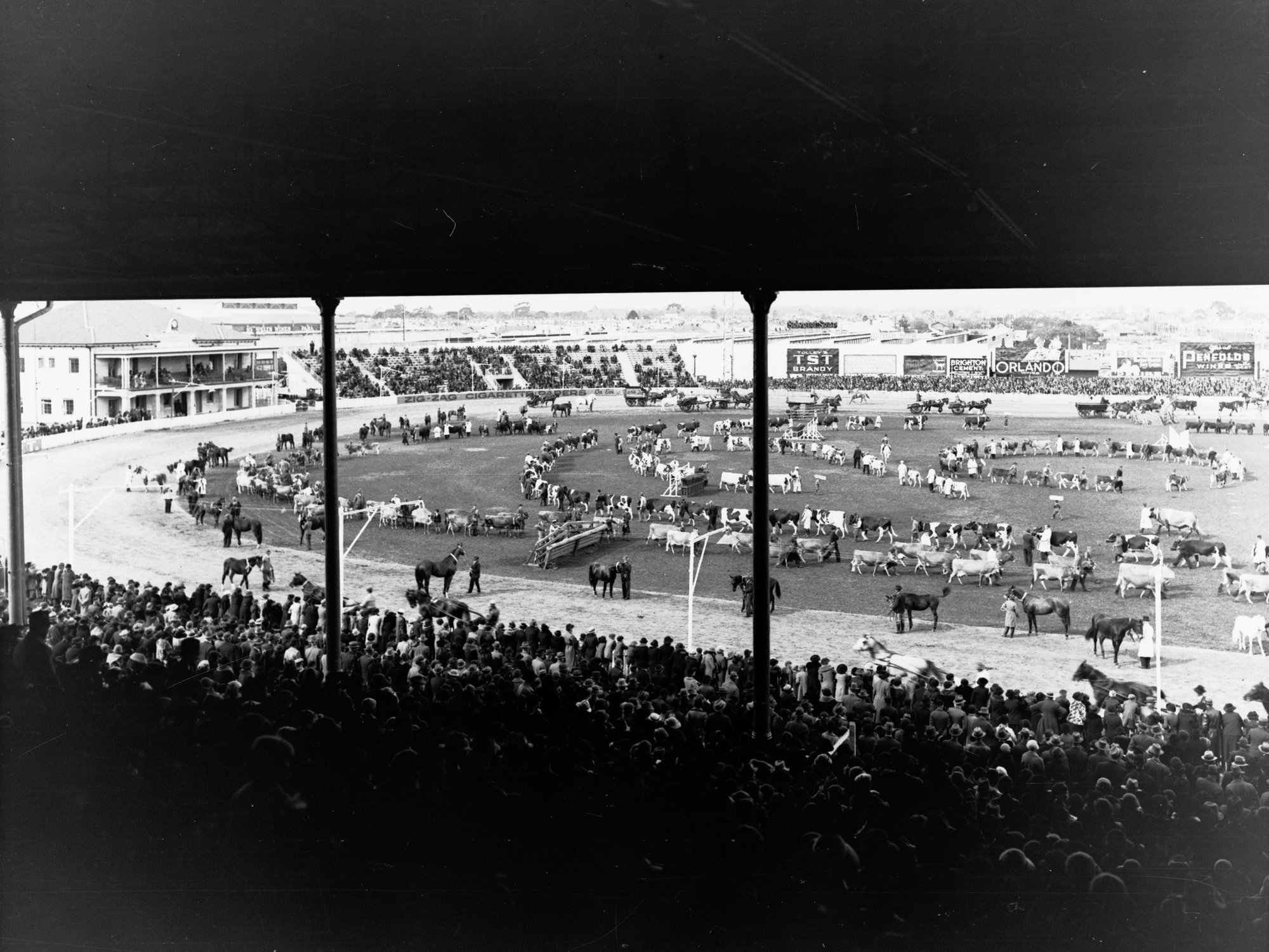 Grand Parade Royal Adelaide Show Wayville