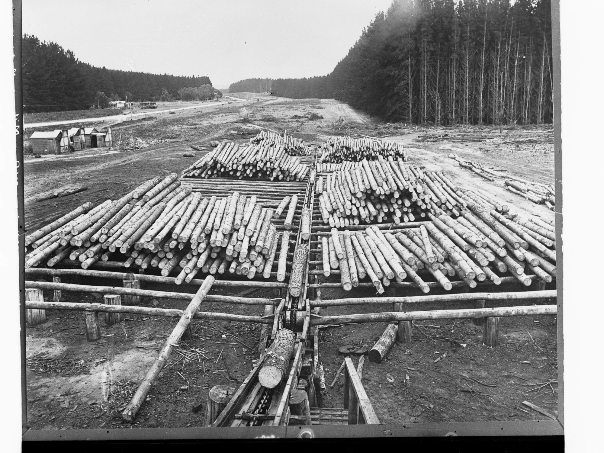 Log on Skids at Mount Burr