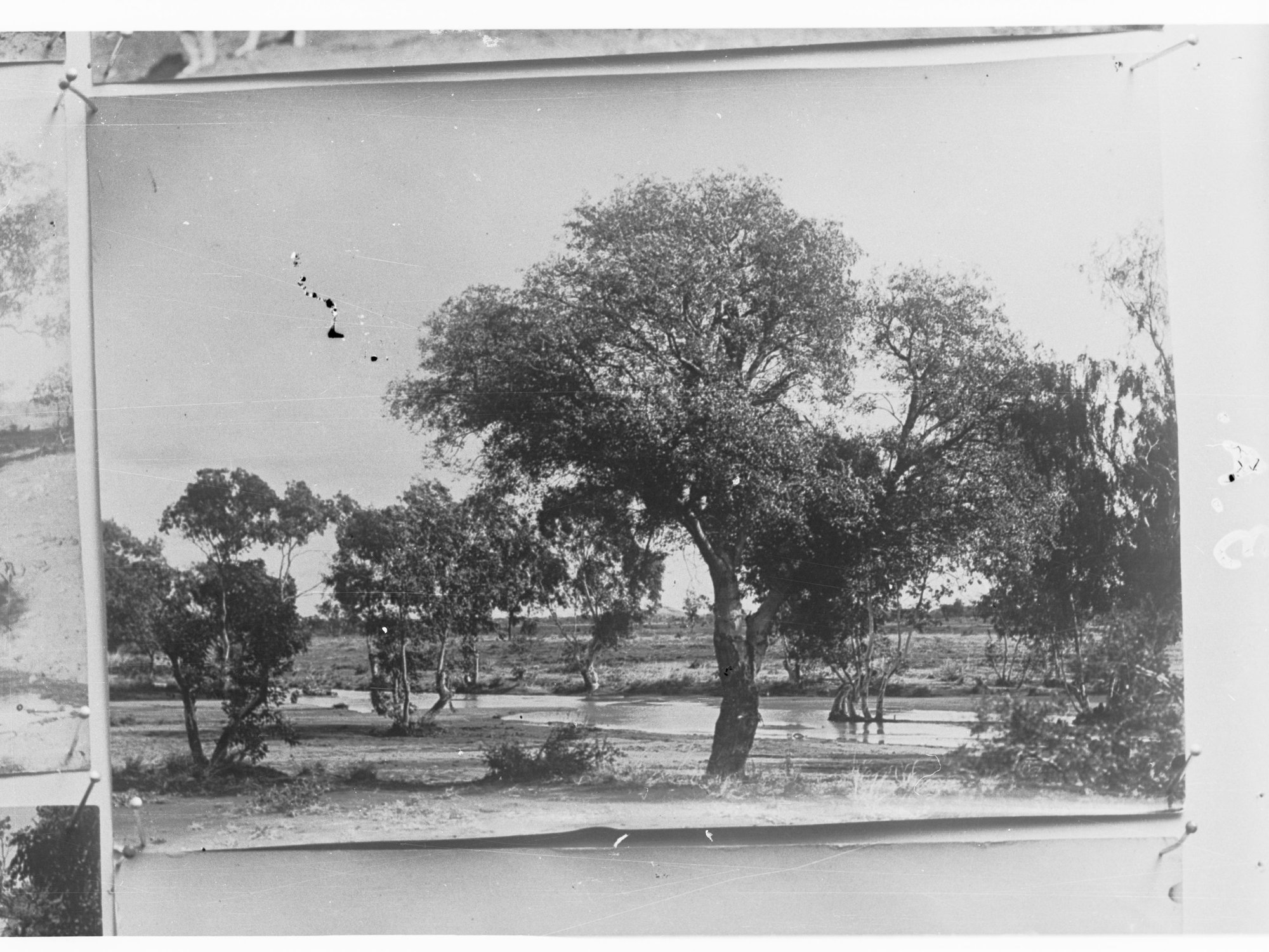 Northern Territory - bush scene