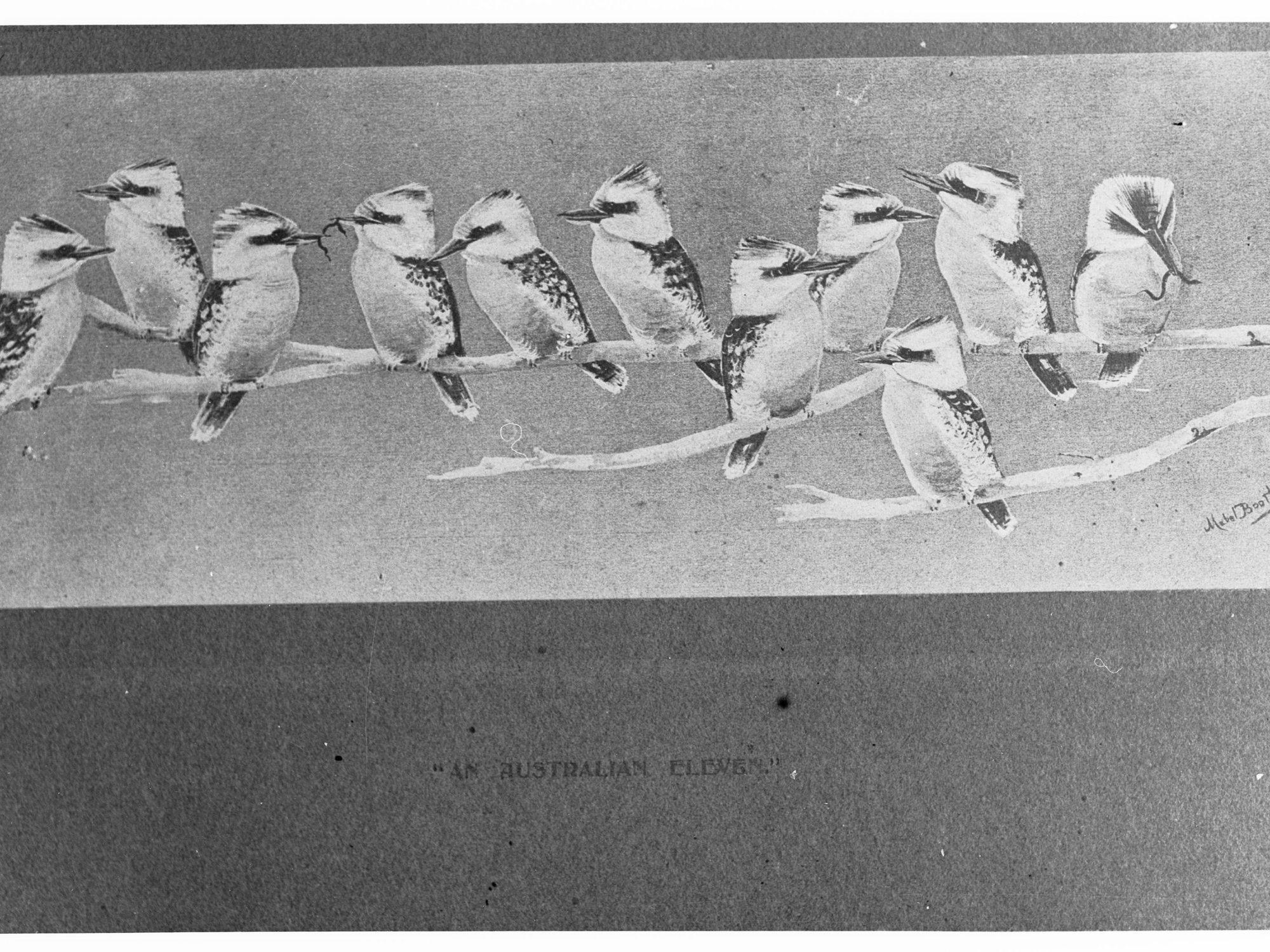 Picture of eleven kookaburras on a branch titled "An Australian Eleven" - by Mike Boothby
