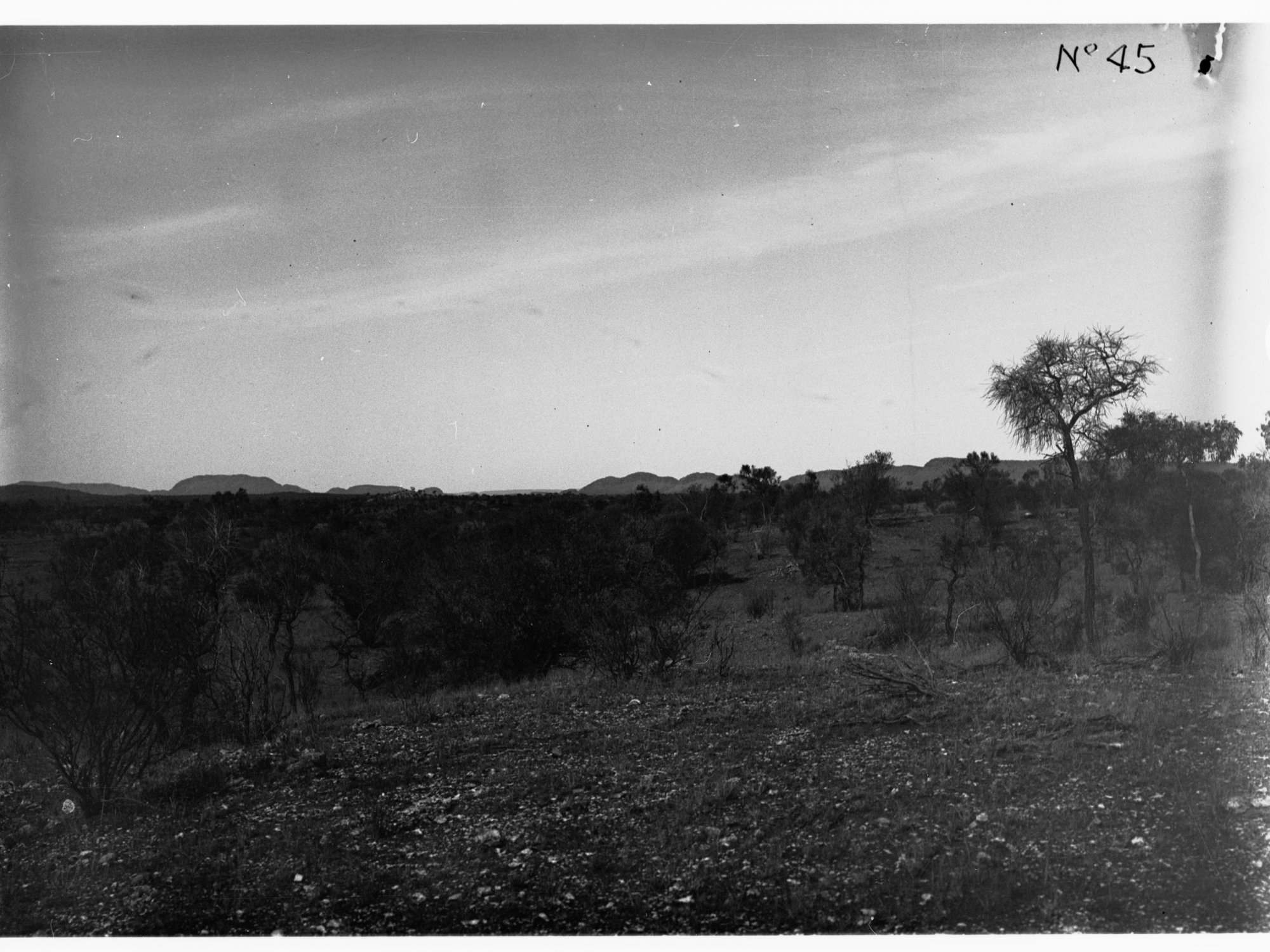 Parliamentary party on tour of Far North in Austin cars (government cars) - rural view