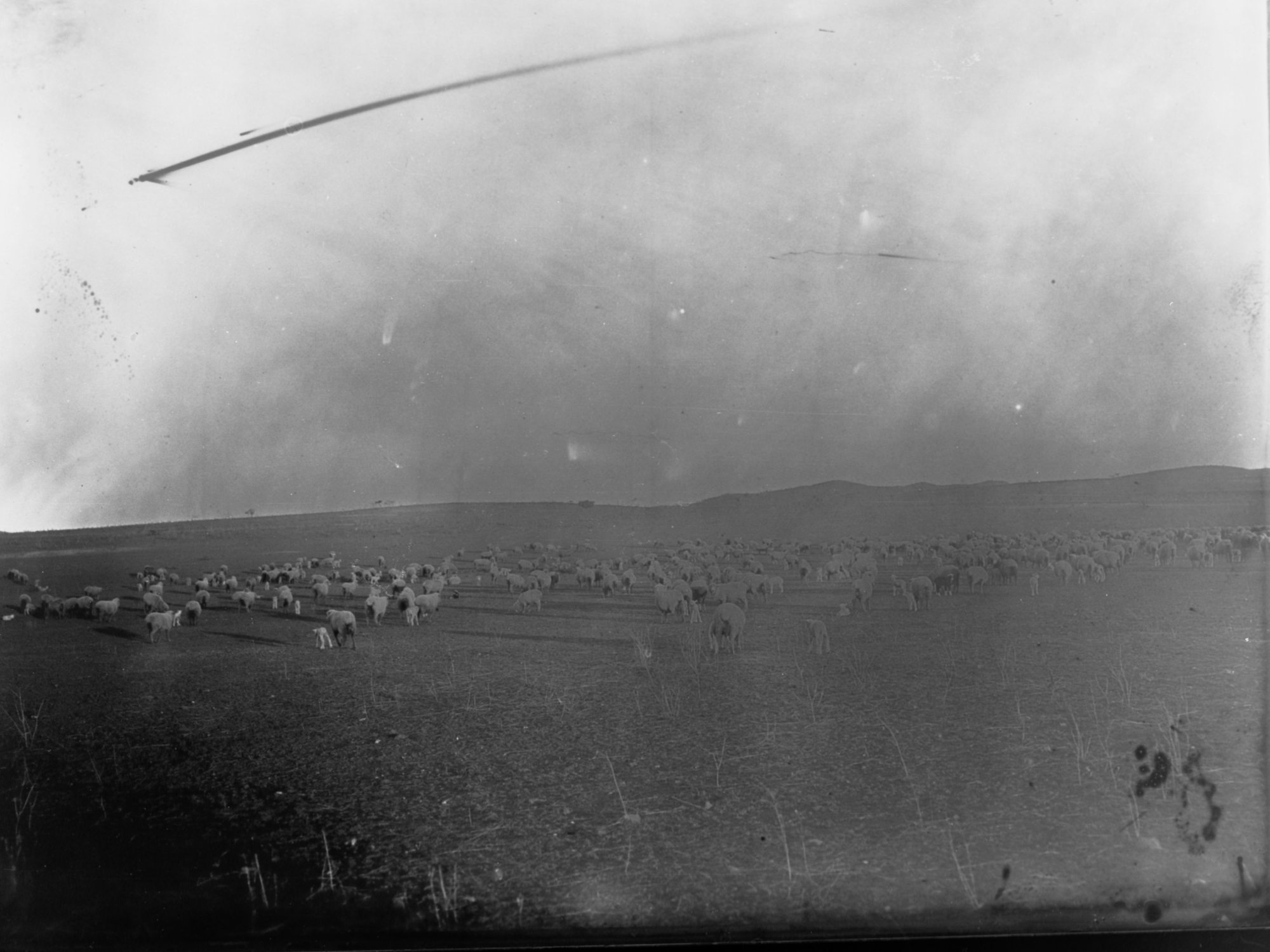 Sheep Station in Blinman, South Australia