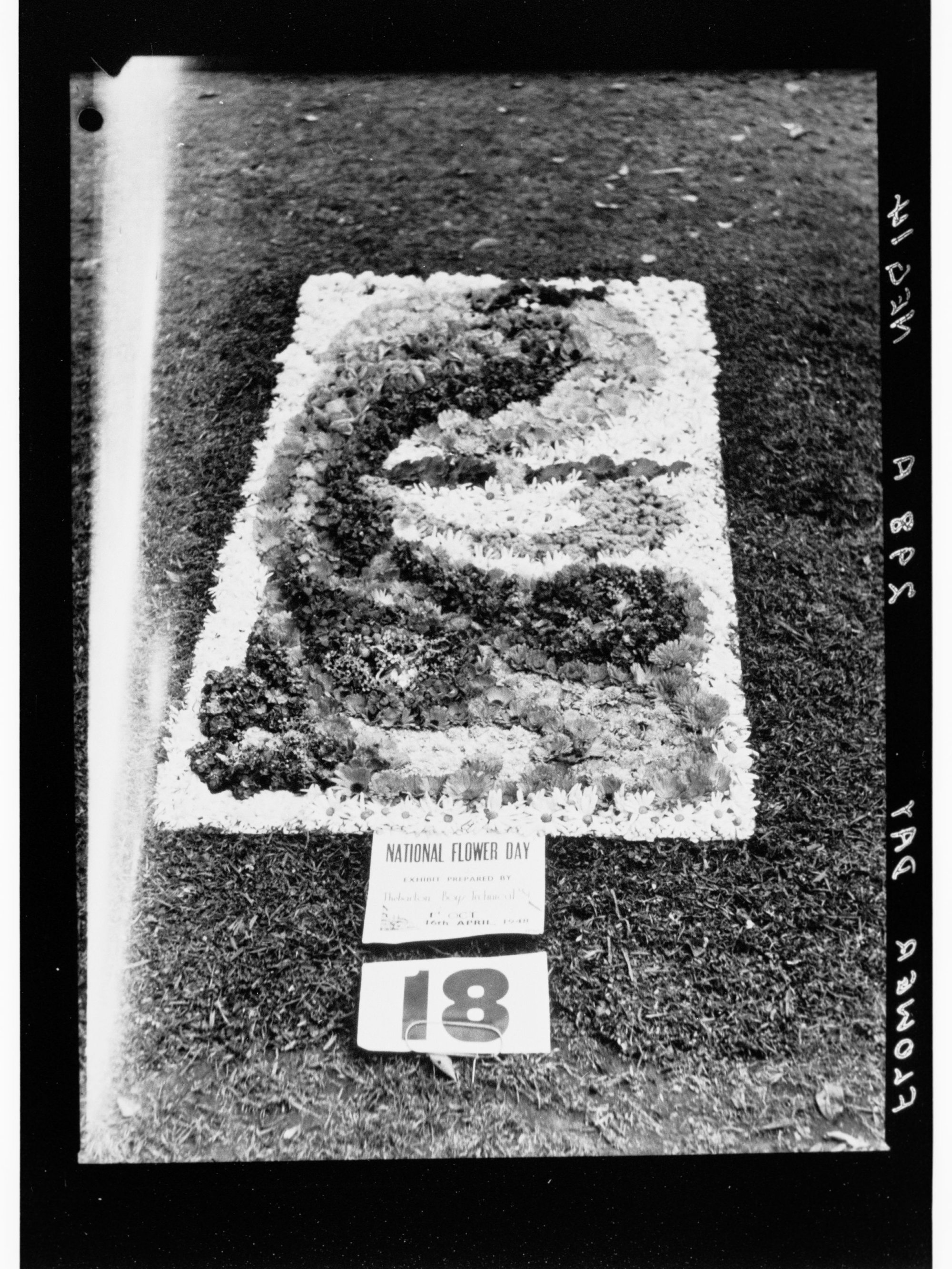 Flower Day - exhibit in ground (exhibit no. 18)