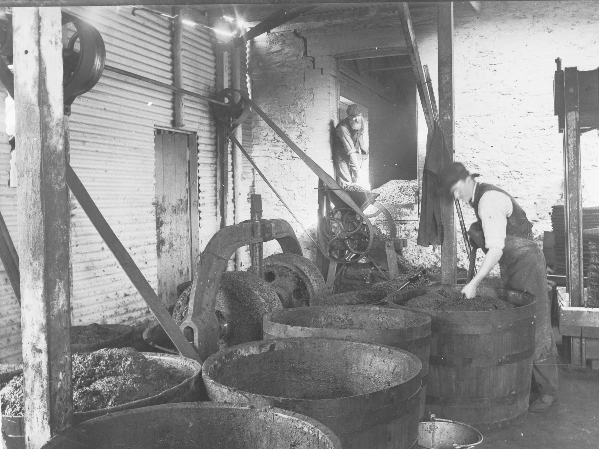 Olive crushing, Stonyfell Olive Company, Stonyfell