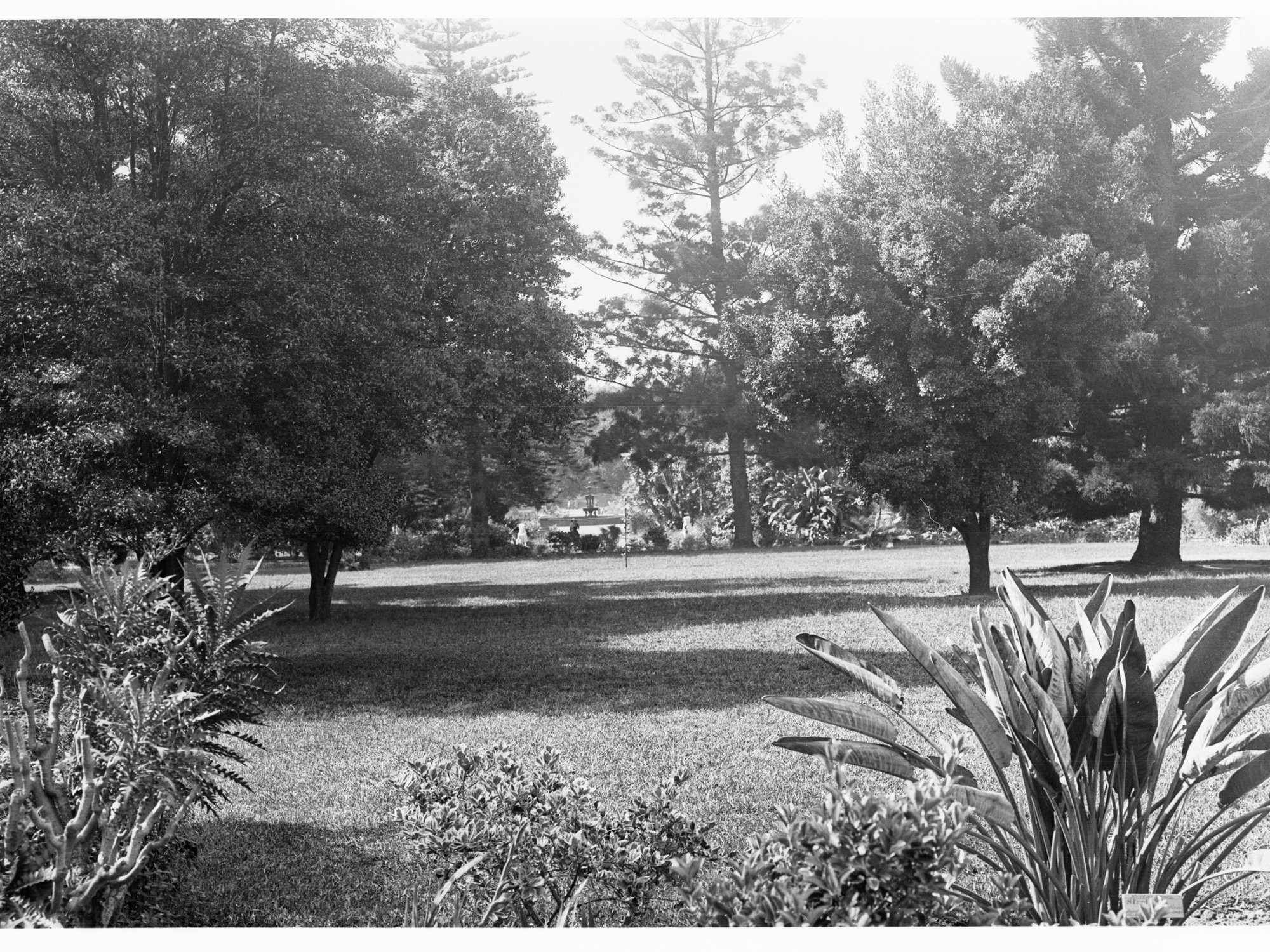 Botanic Gardens view