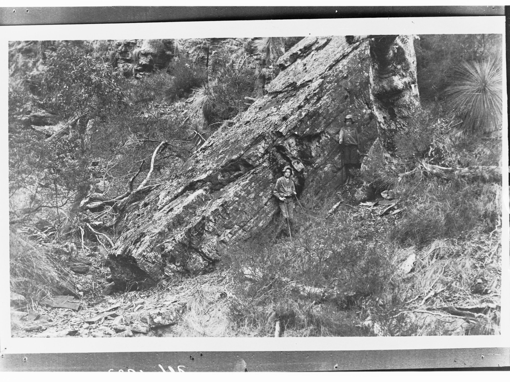 Alligator Creek (Alligator Gorge), Flinders Ranges