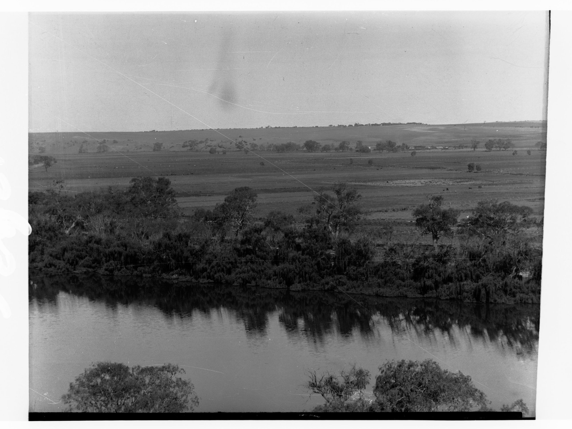 Reclaimed area for Irrigation Department