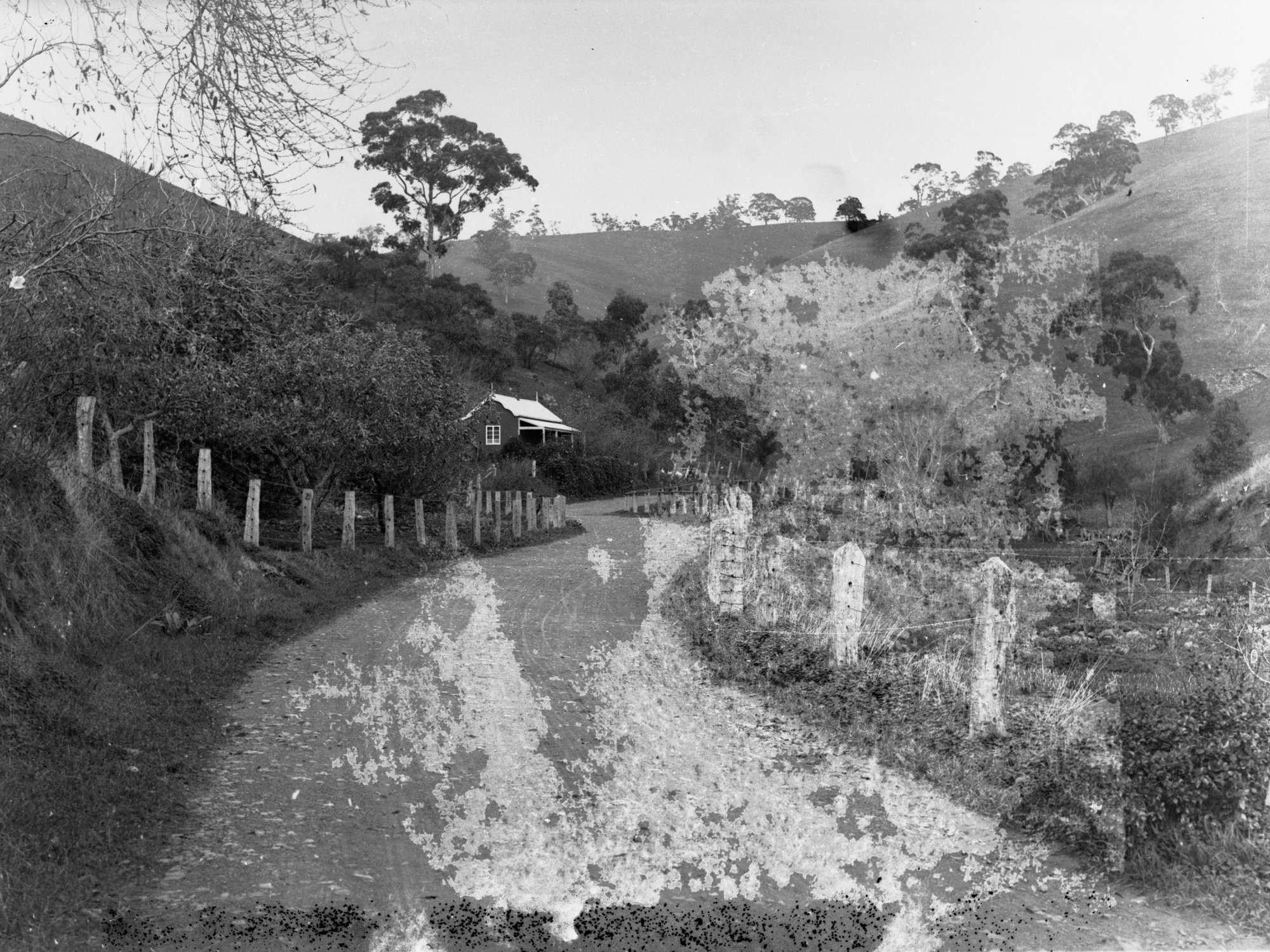 Country scene of road including cottage