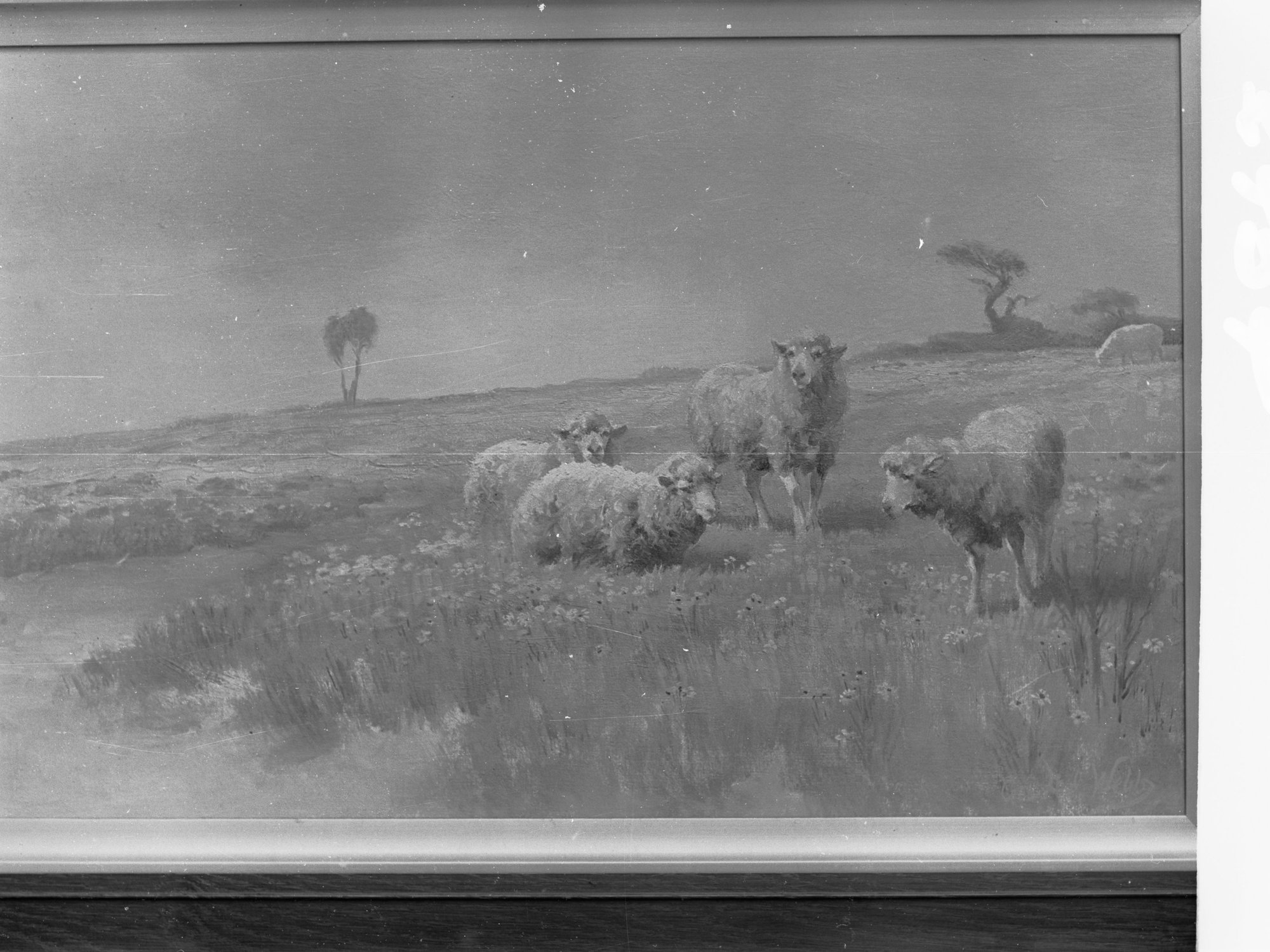 Four sheep in field - painting