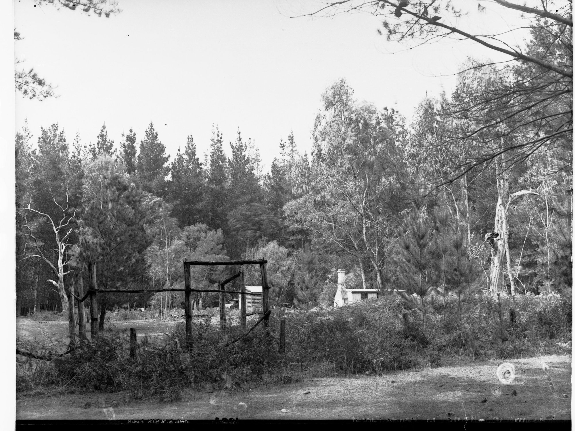 Old Home in Penola Forest