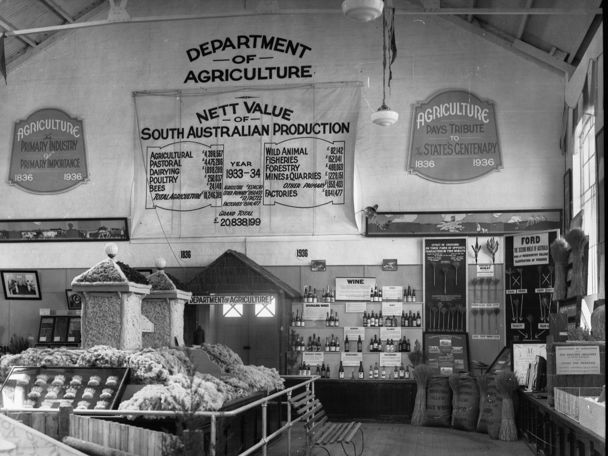 Exhibition for the Department of Agriculture showing wine seeds and wool