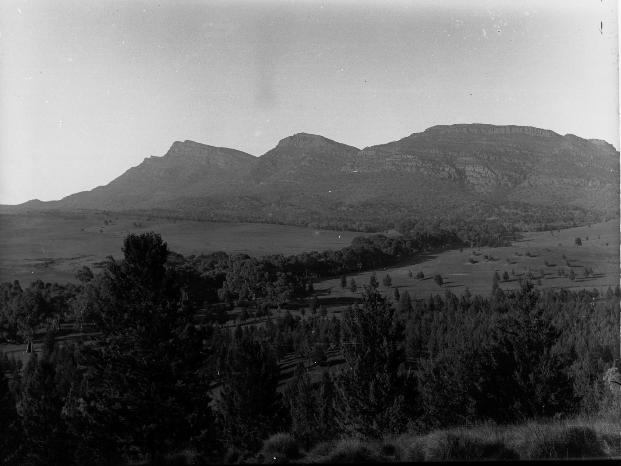 Wilpena Creek East Boundary