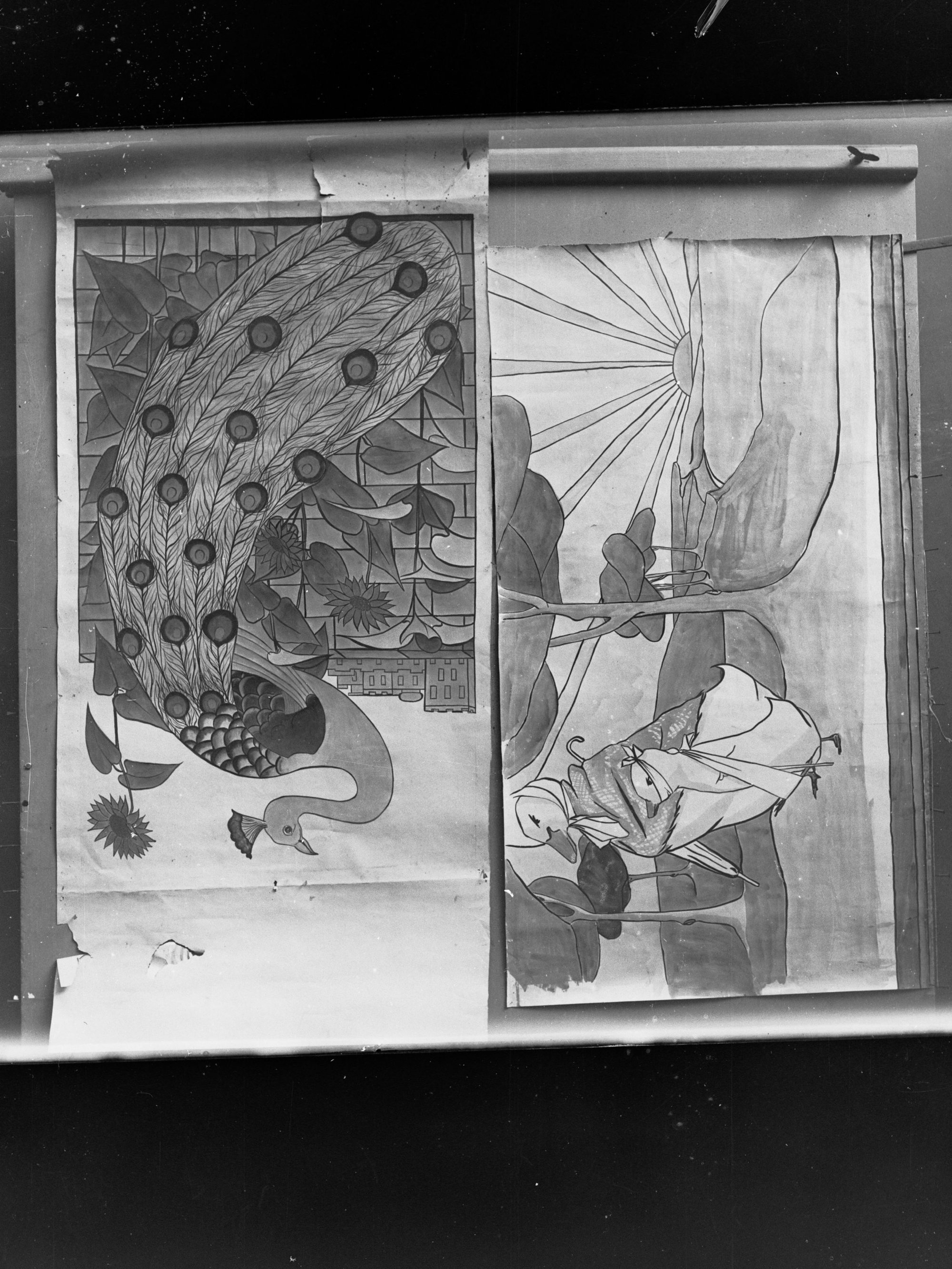 Illustrations children's books  (Kindergarten Negatives)