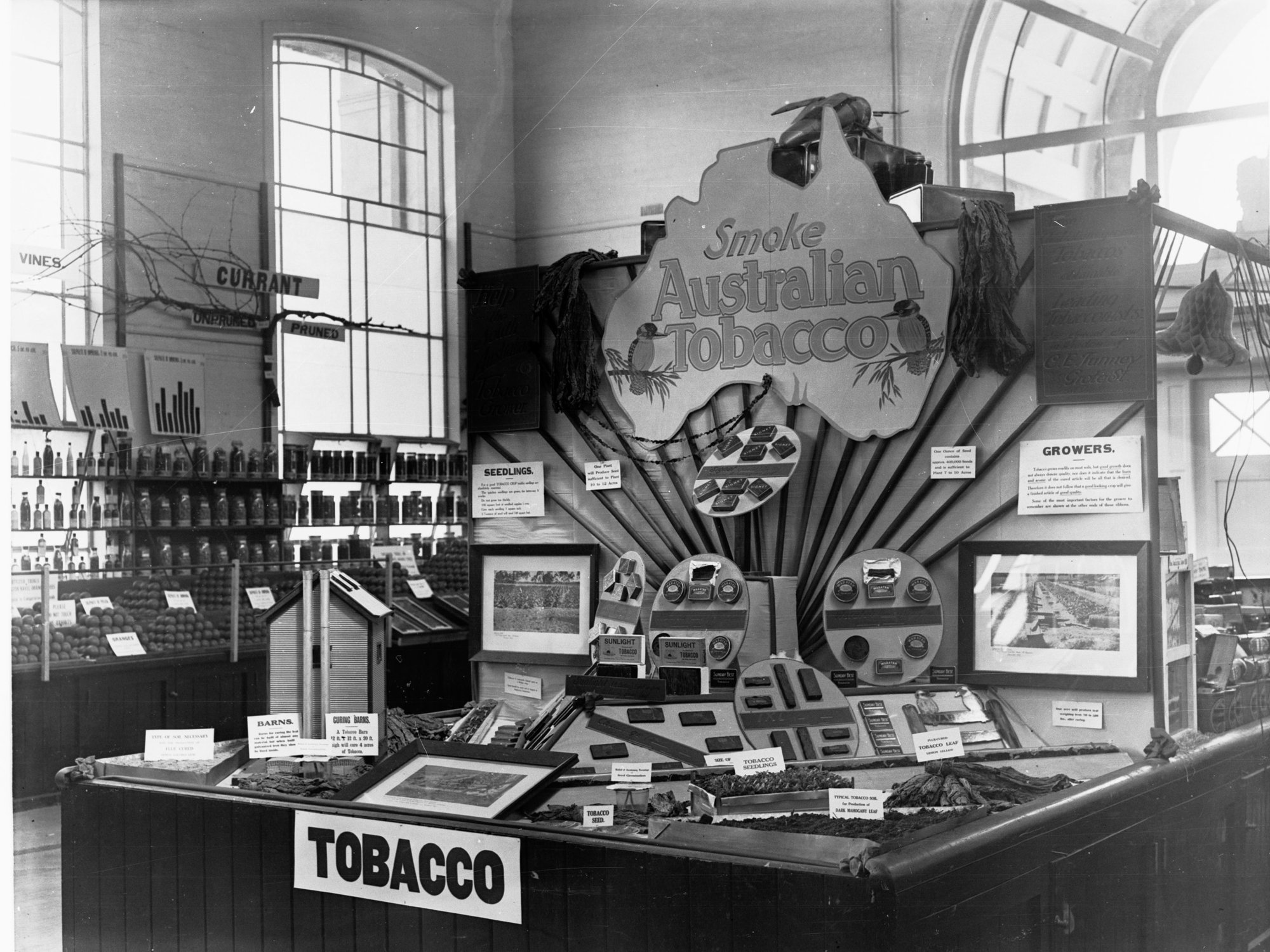 Tobacco Exhibit 