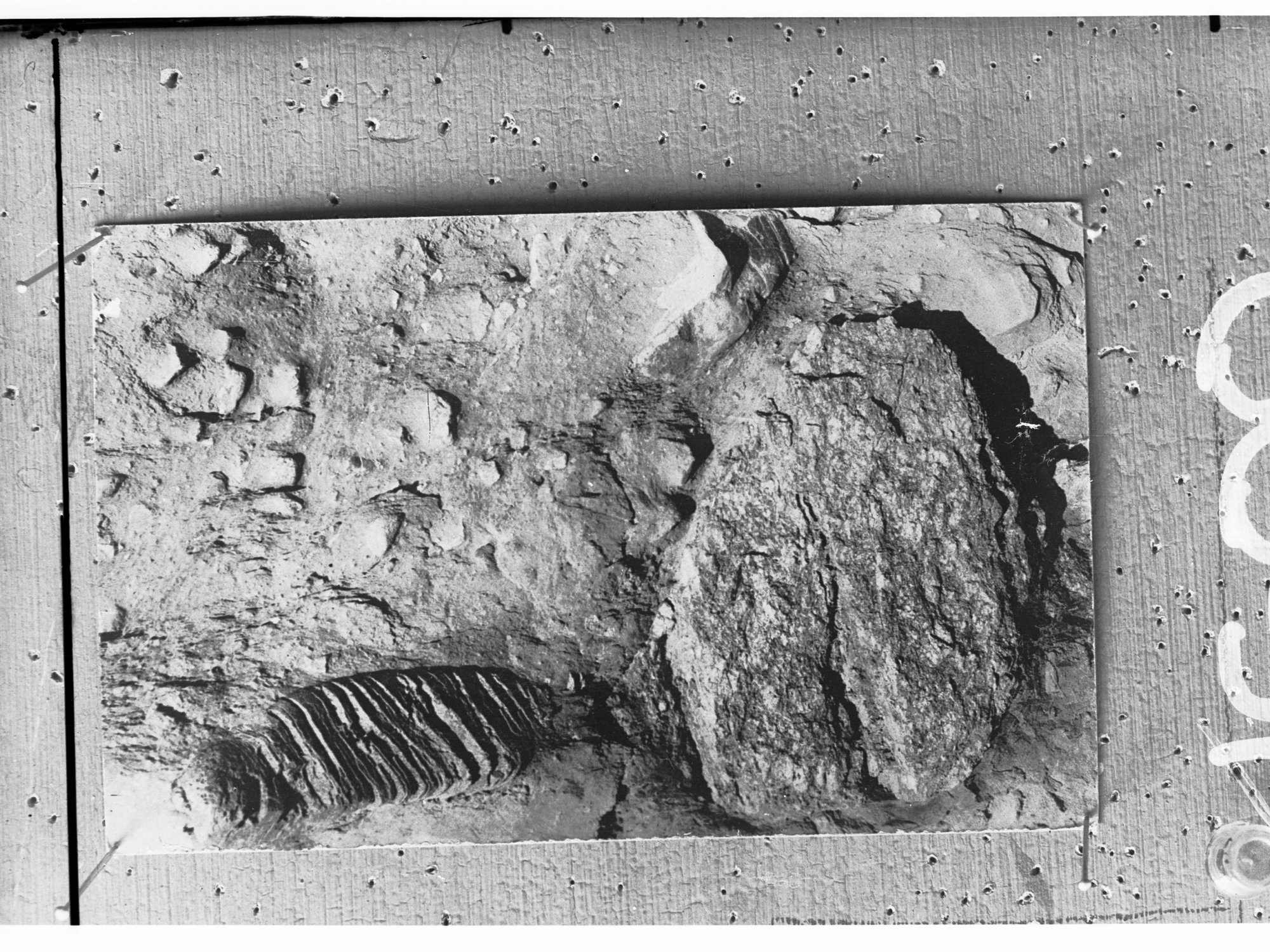 Otira Gorge, New Zealand