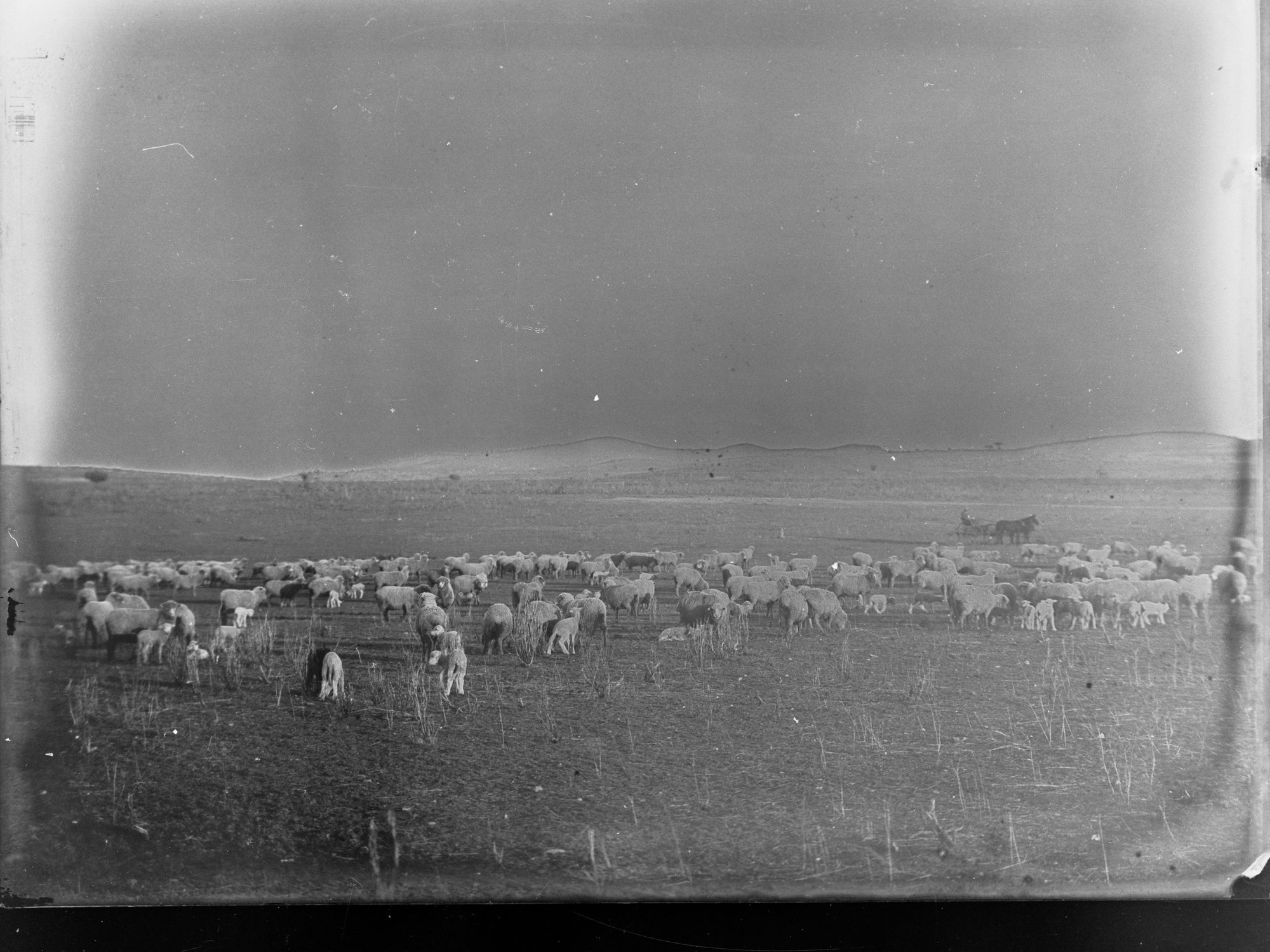Sheep Station at Blinman, South Australia