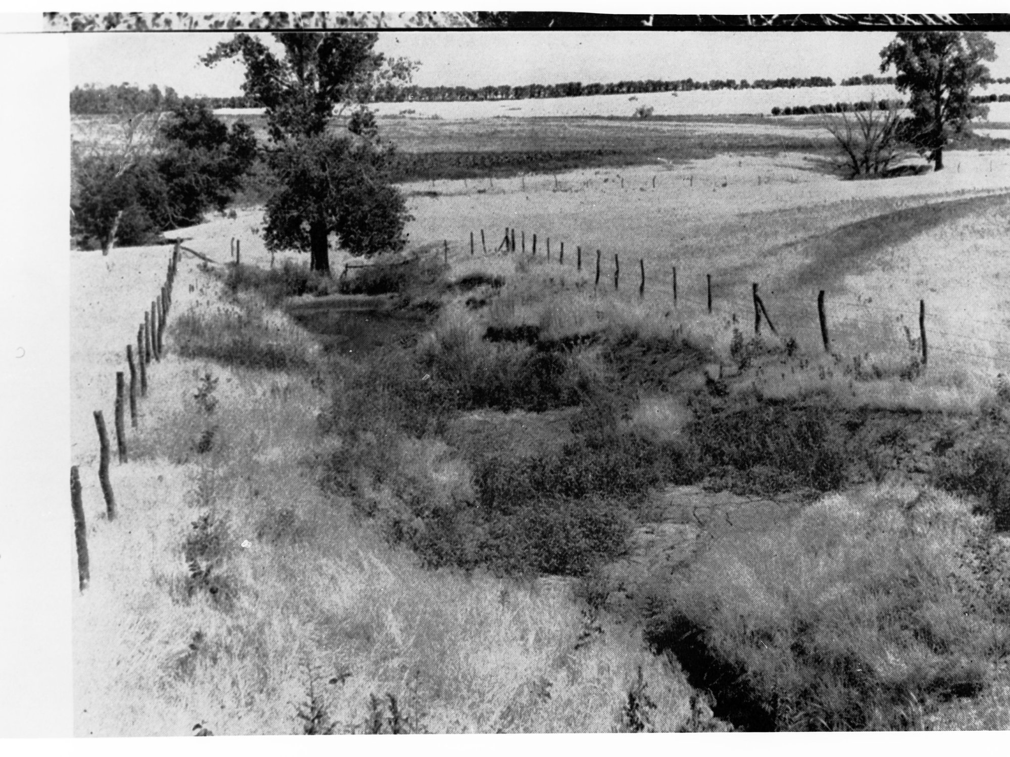 Rural View of Creek and Trees