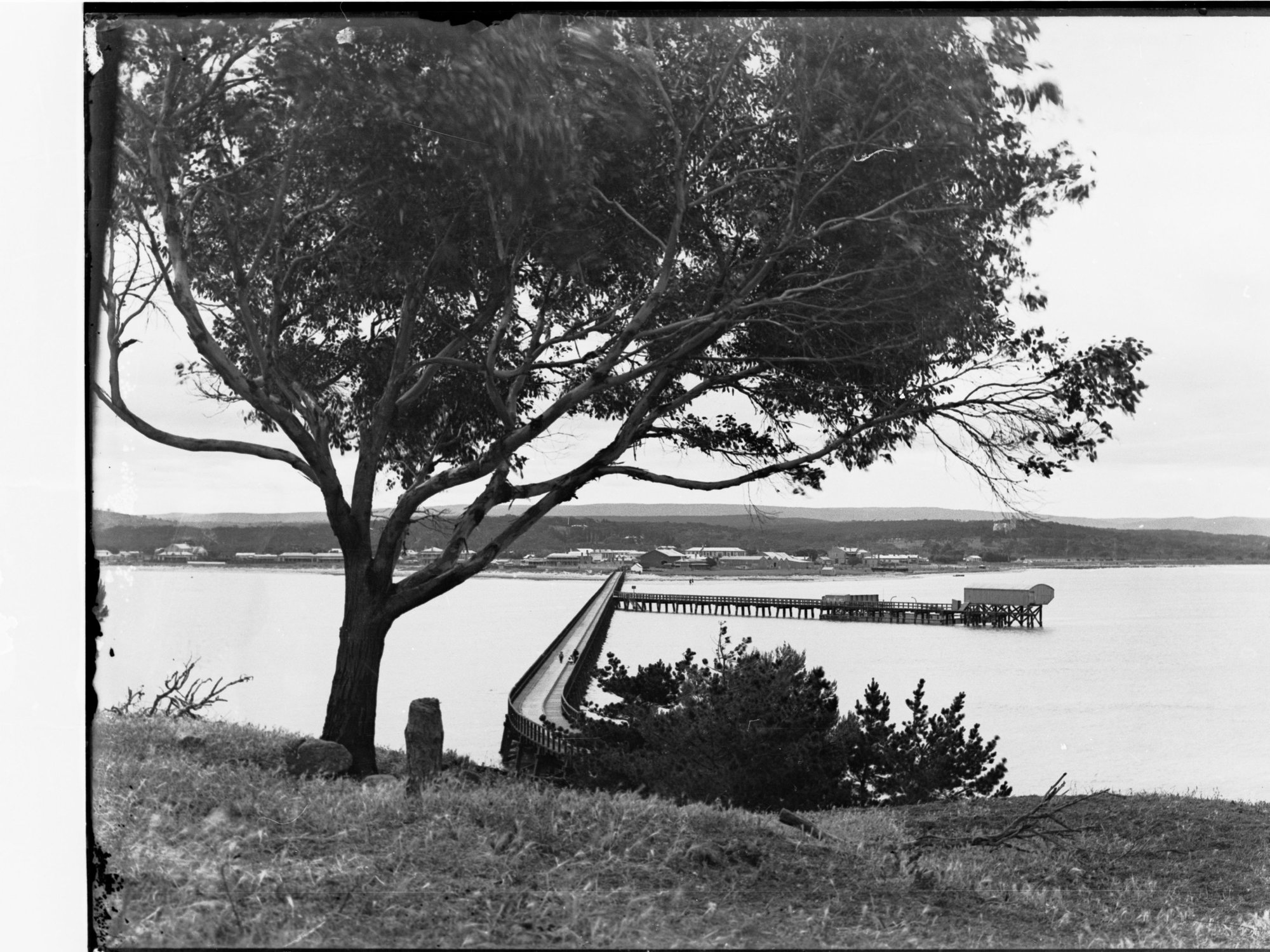 Victor Harbor causeway from Granite Island