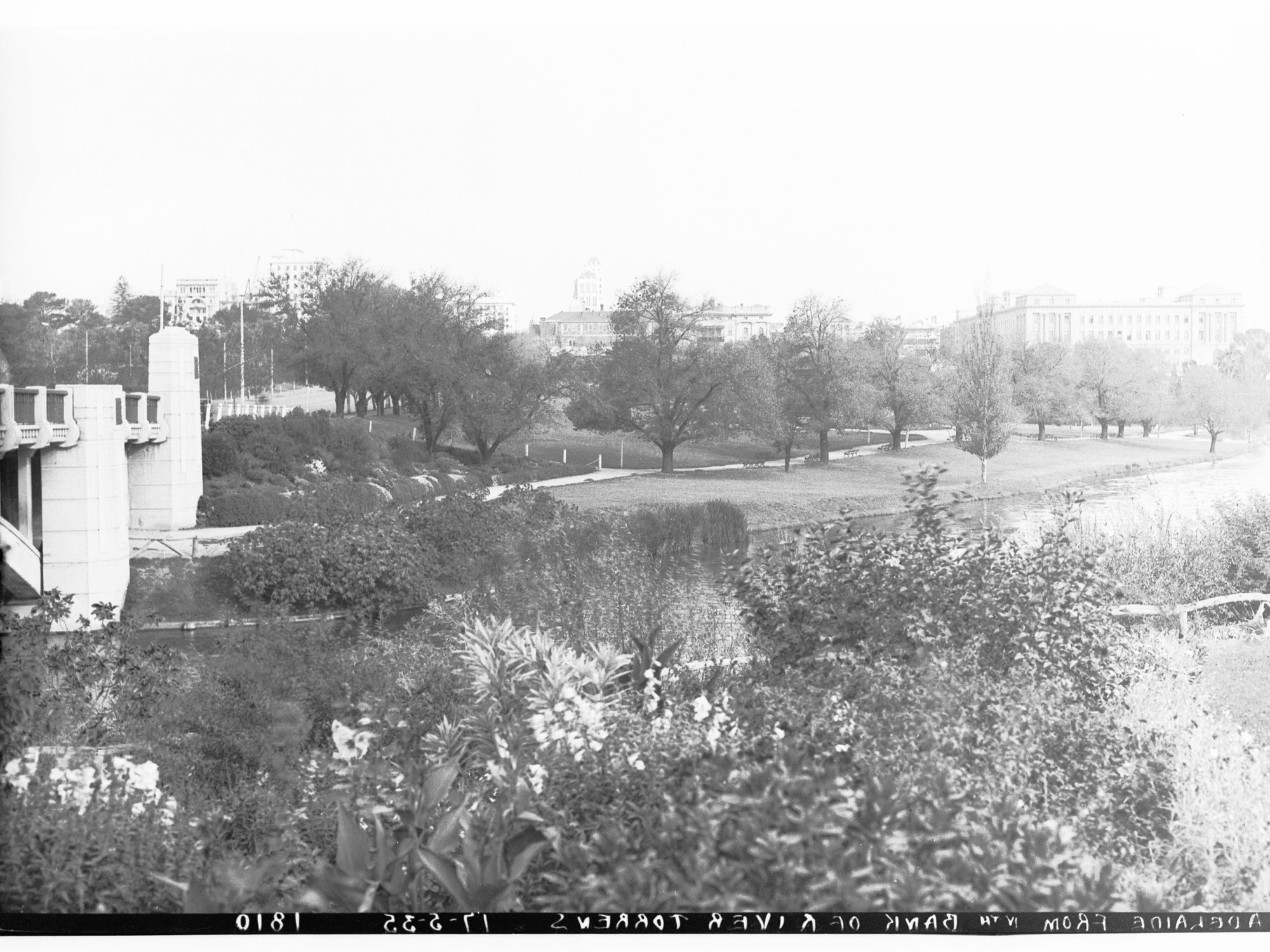 Adelaide taken from north bank of River Torrens near King William Street bridge
