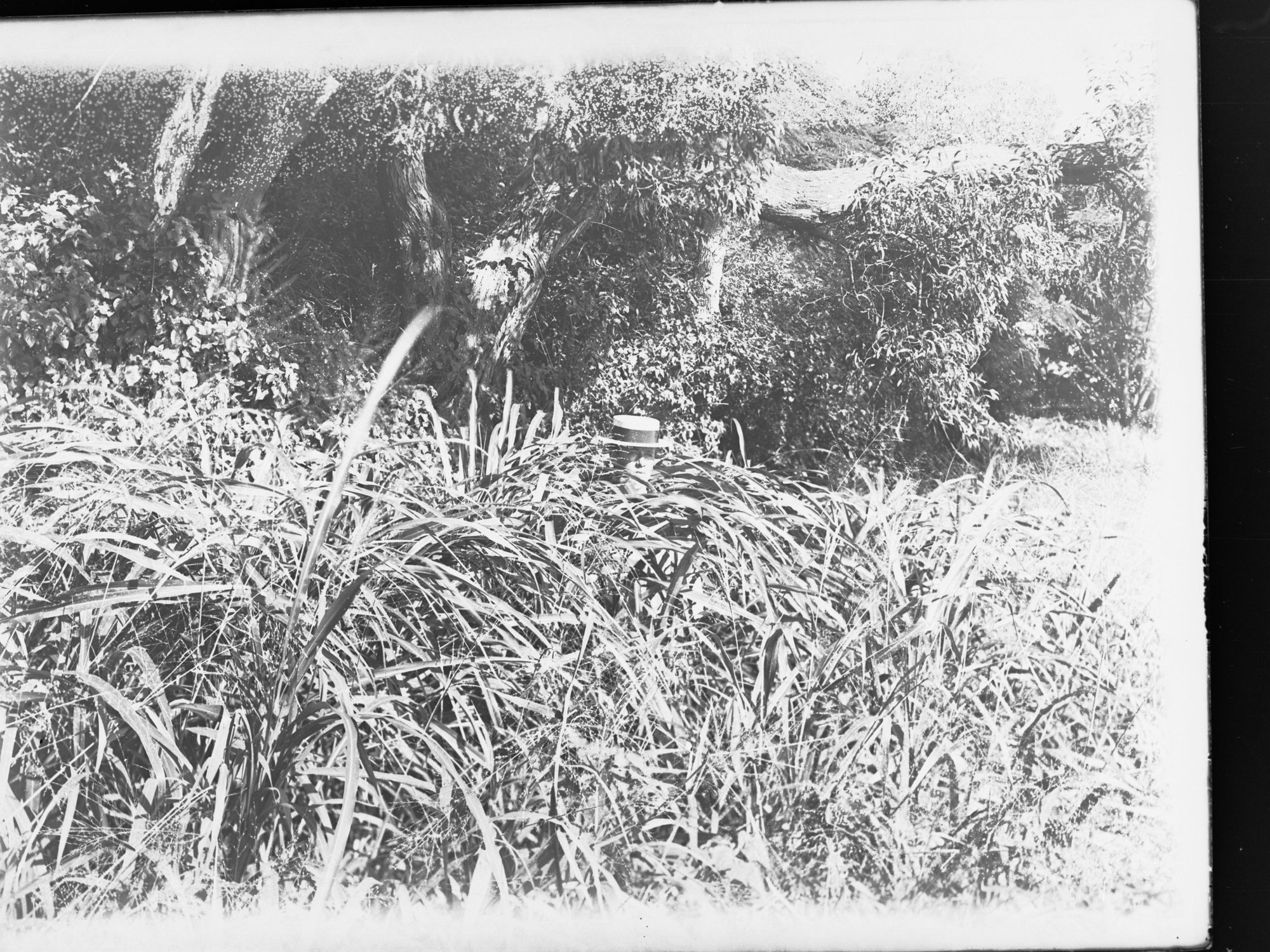 Northern Territory Property 