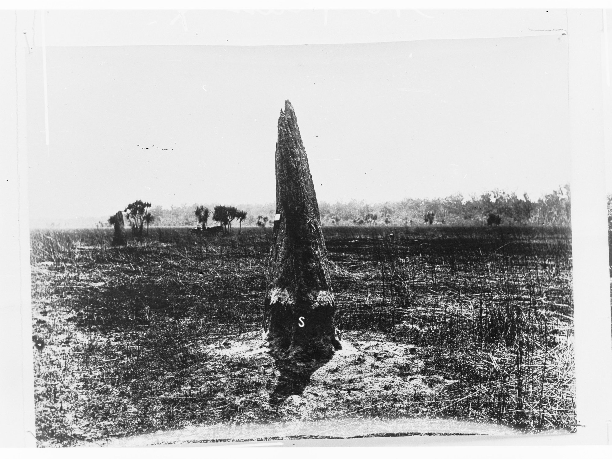 Large ant hill - Northern Territory