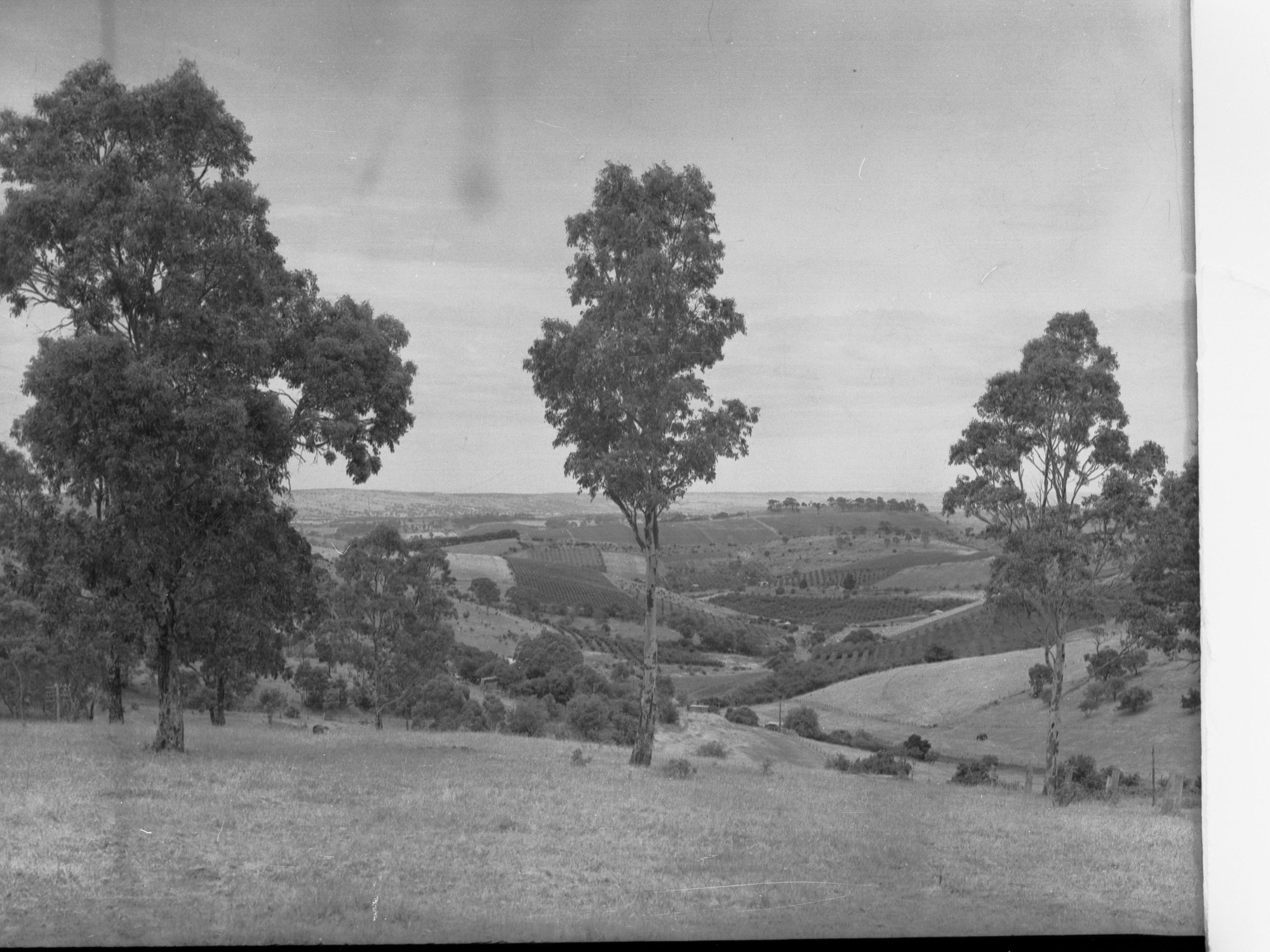 Panoramic View of Clarendon