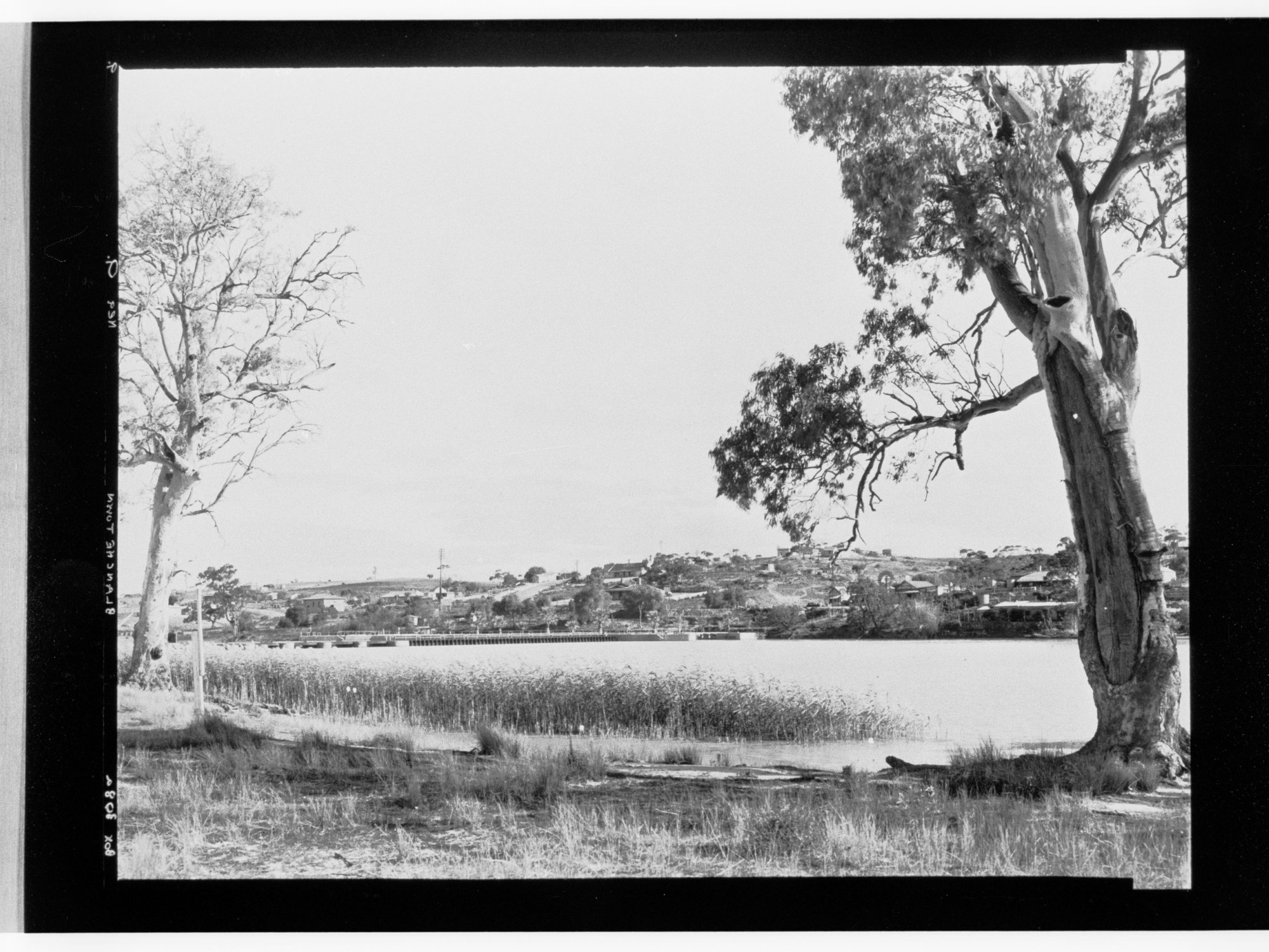 Blanchetown - River Murray