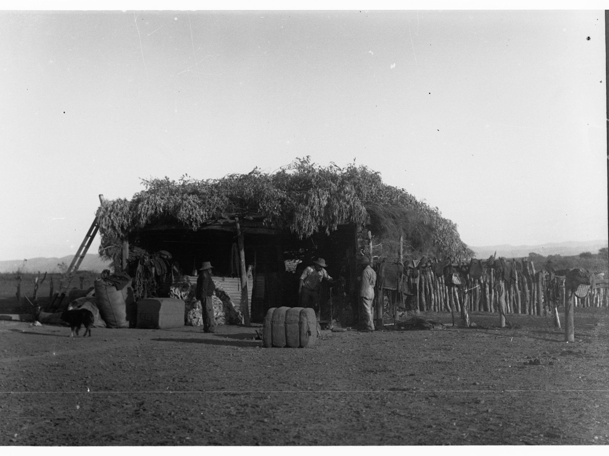 Small shearing shed - Far North