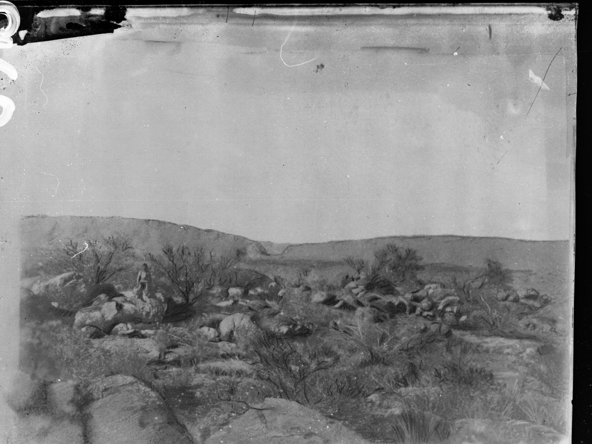 View of desert scene - area unknown