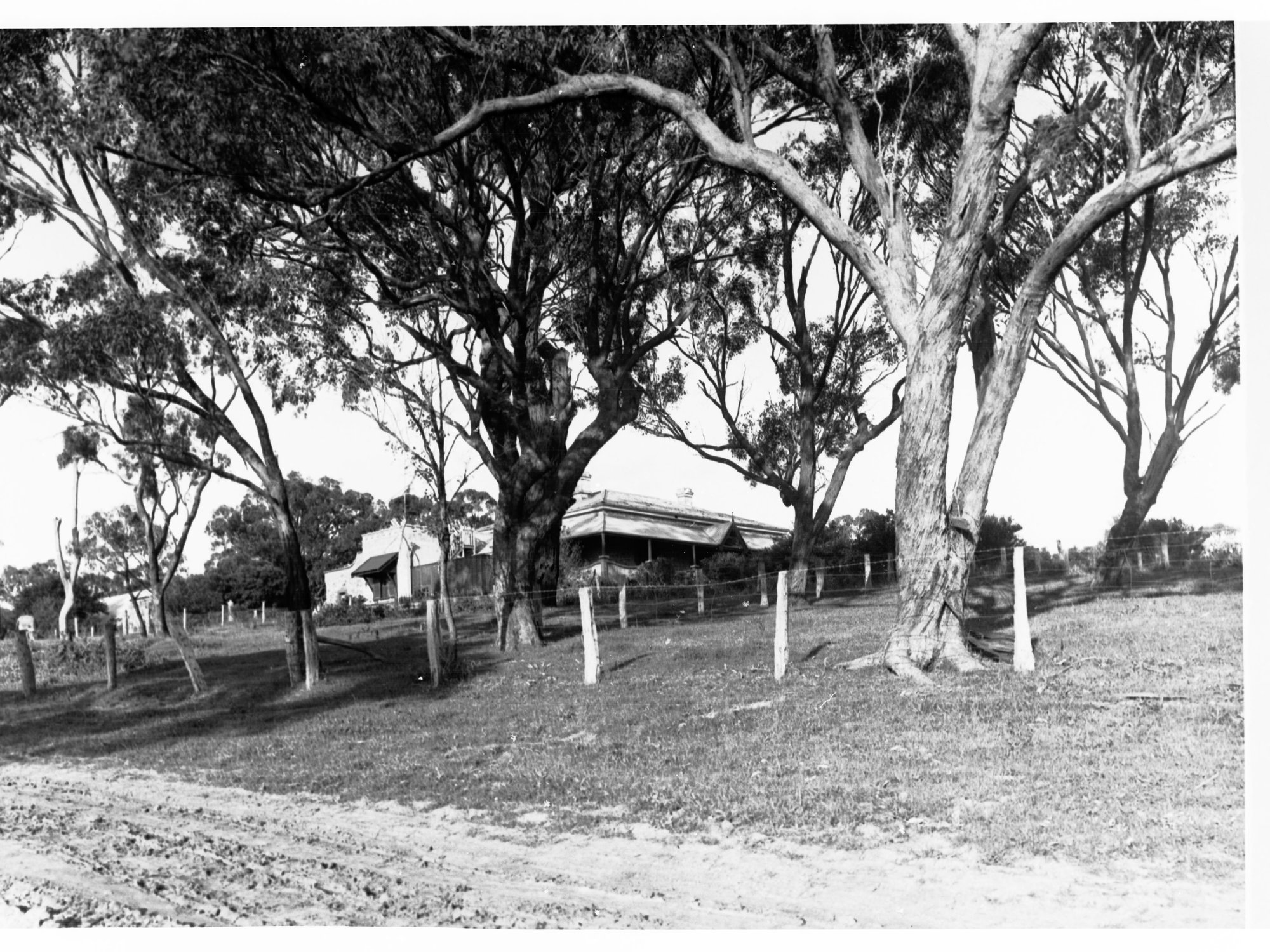 Minda Home's Craigburn Farm, 1932
Minda Home 