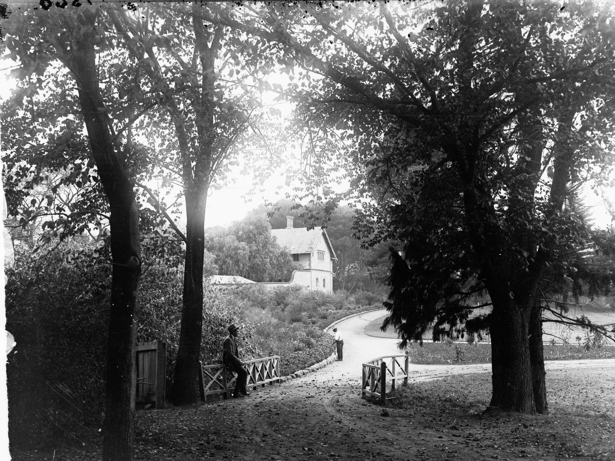 Botanic Gardens, Adelaide, with building in background