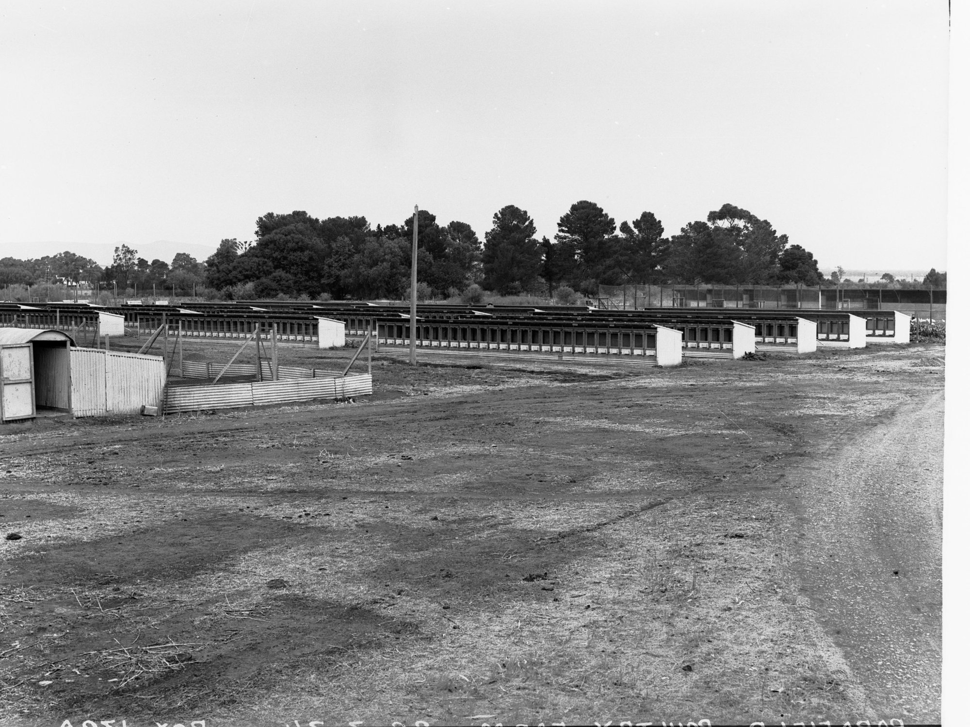 Parafield Poultry Farm
