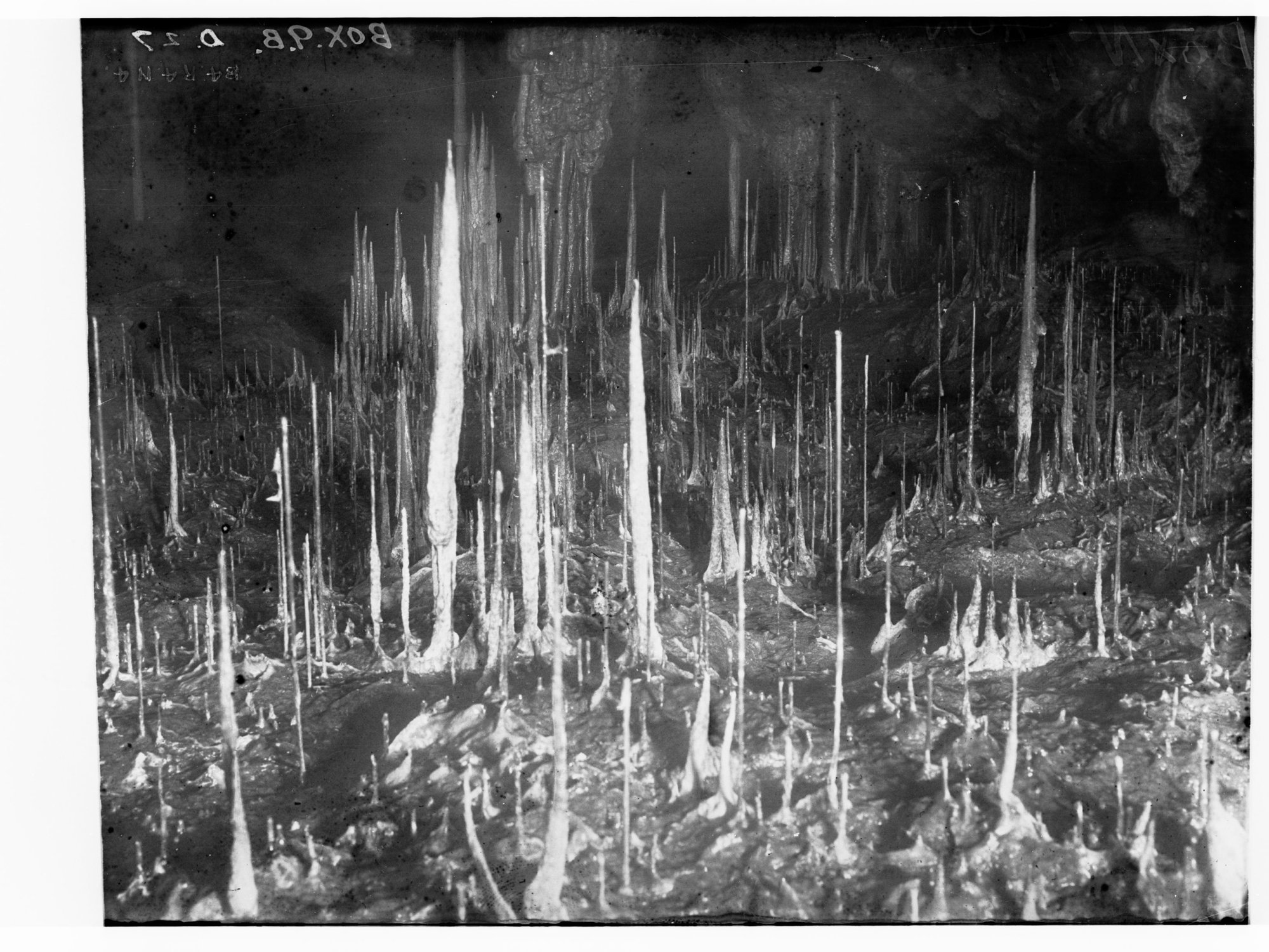 Stalactites in Cave
