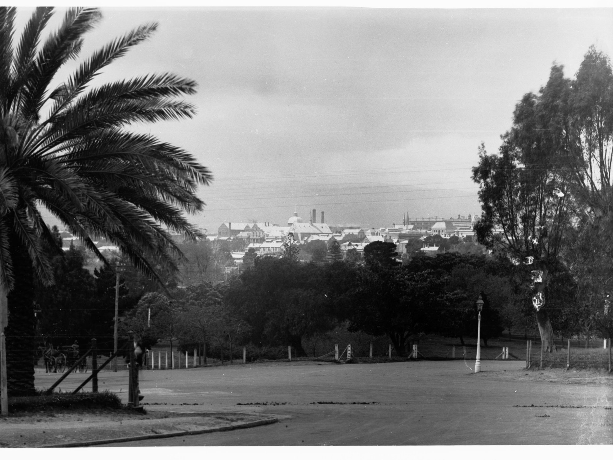 Adelaide viewed from North Adelaide