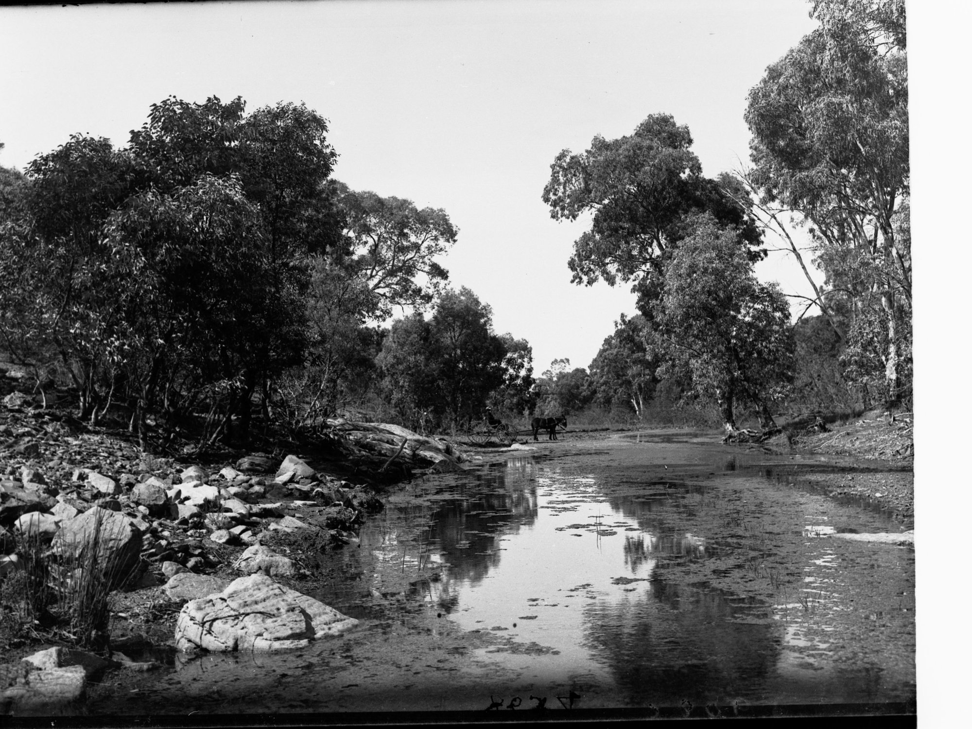 Erengunda creek, Flinders Ranges, man crossing river in horse drawn carriage in the distance