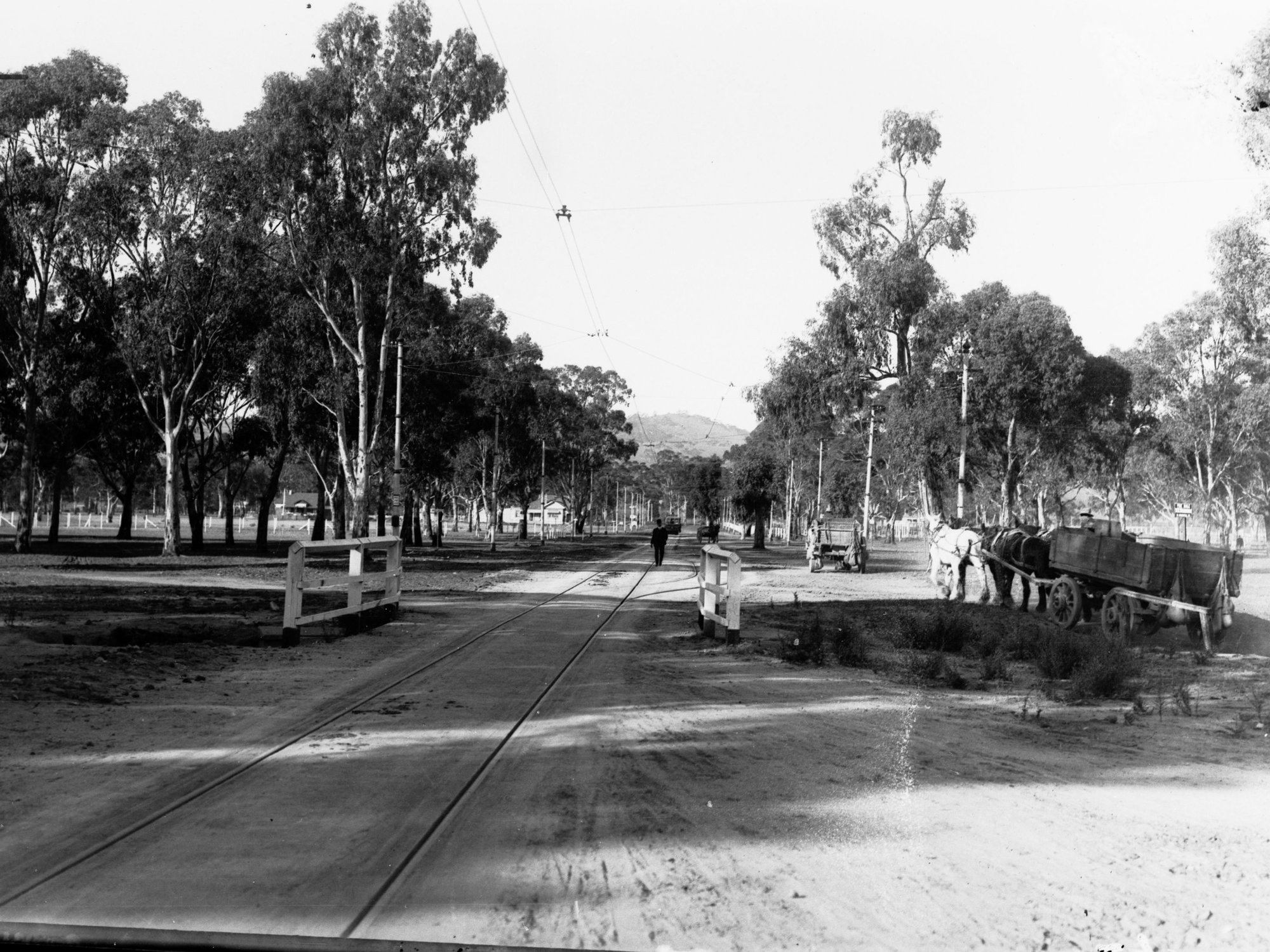 Kensington Gardens Showing Carts