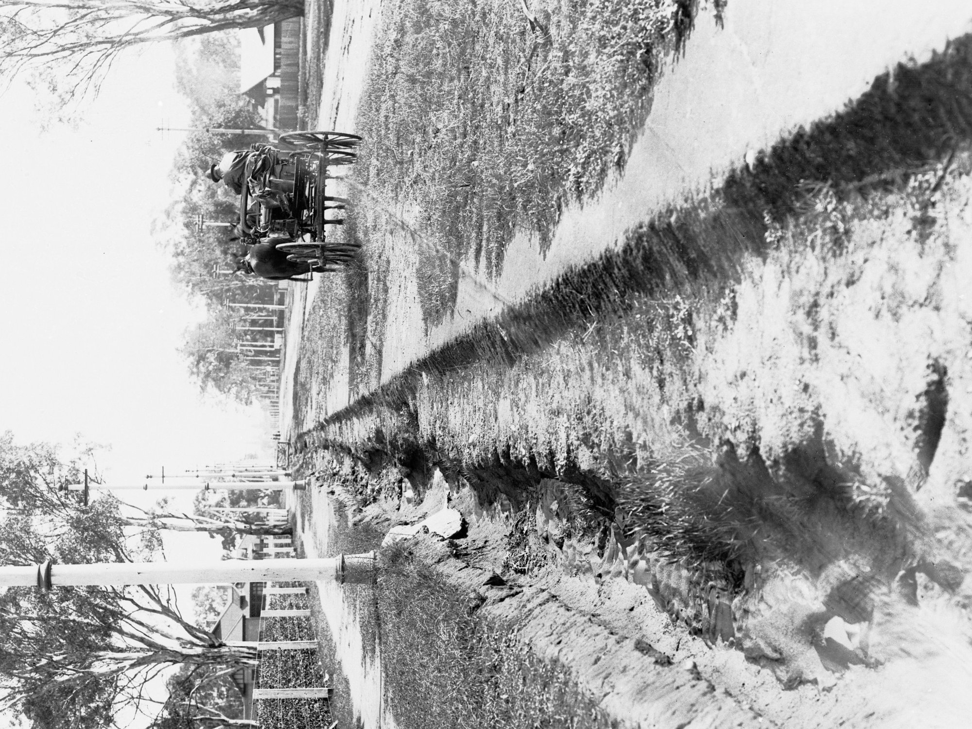 Drain at Kensington Gardens showing horse drawn carriage - Town Planning negatives Rose Park or Toorak