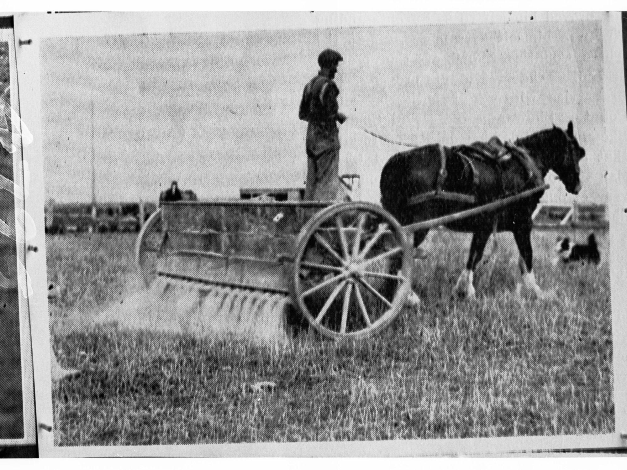 Horse Drawn Fertiliser