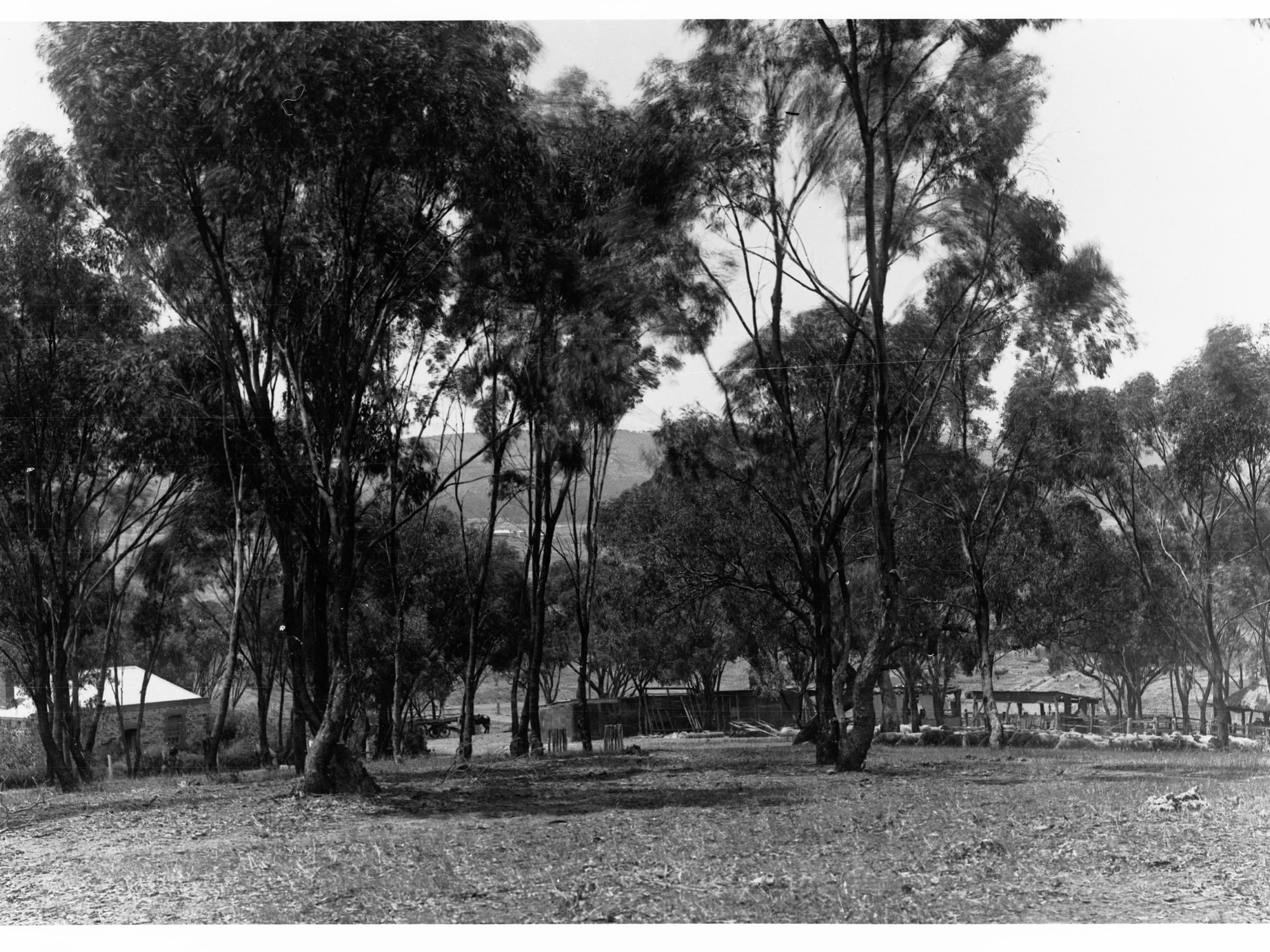 Keeman's Farm Building Hidden by Trees
