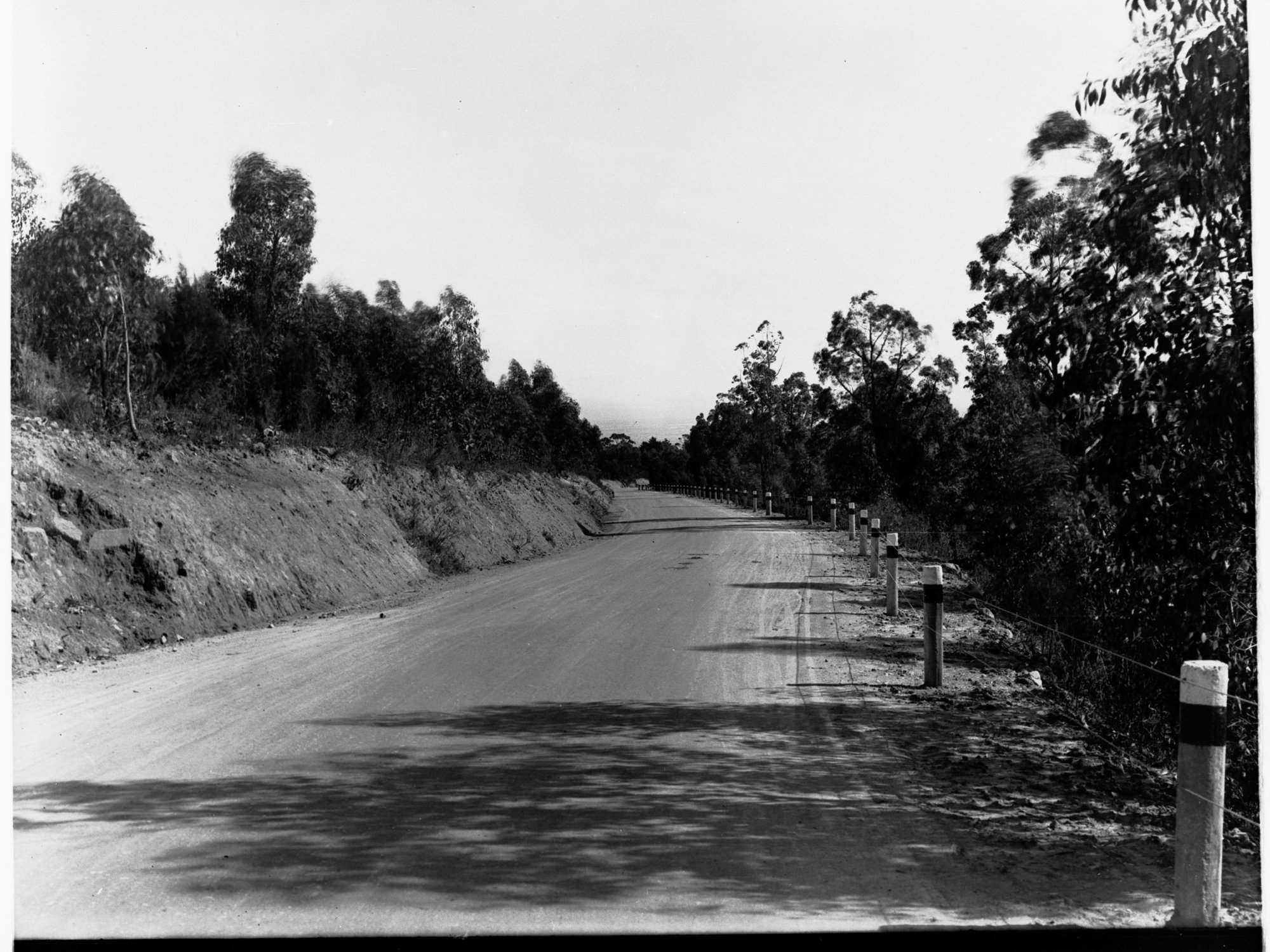 Greenhill Road, near Burnside