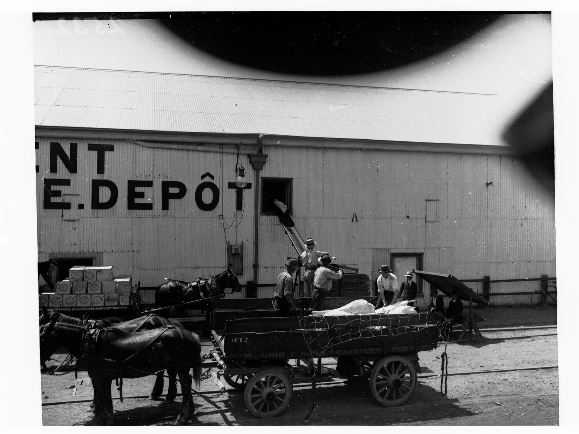 Shipping frozen lambs at Port Adelaide