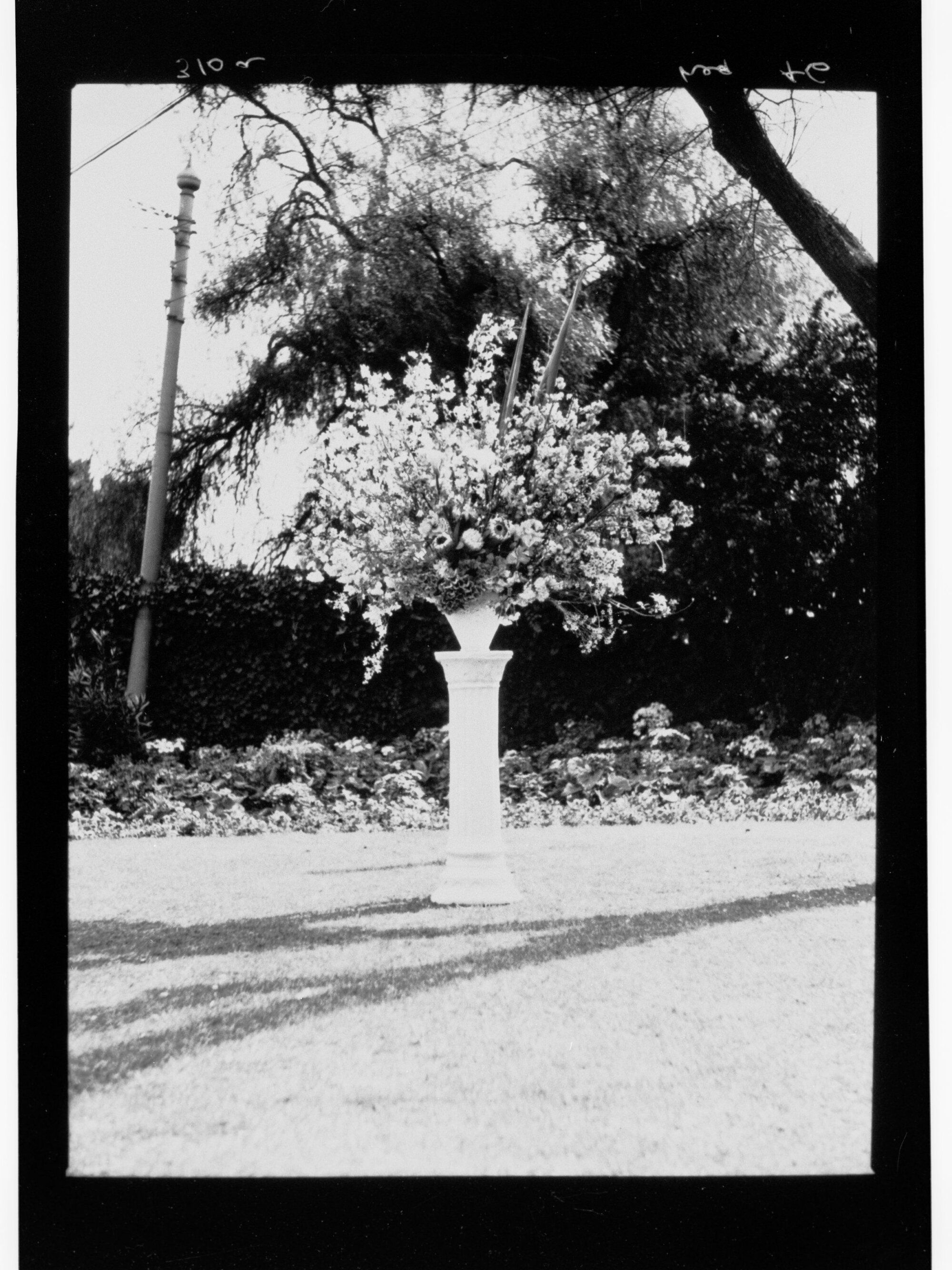 National Flower Day Festival held in Adelaide on the 21st September 1949