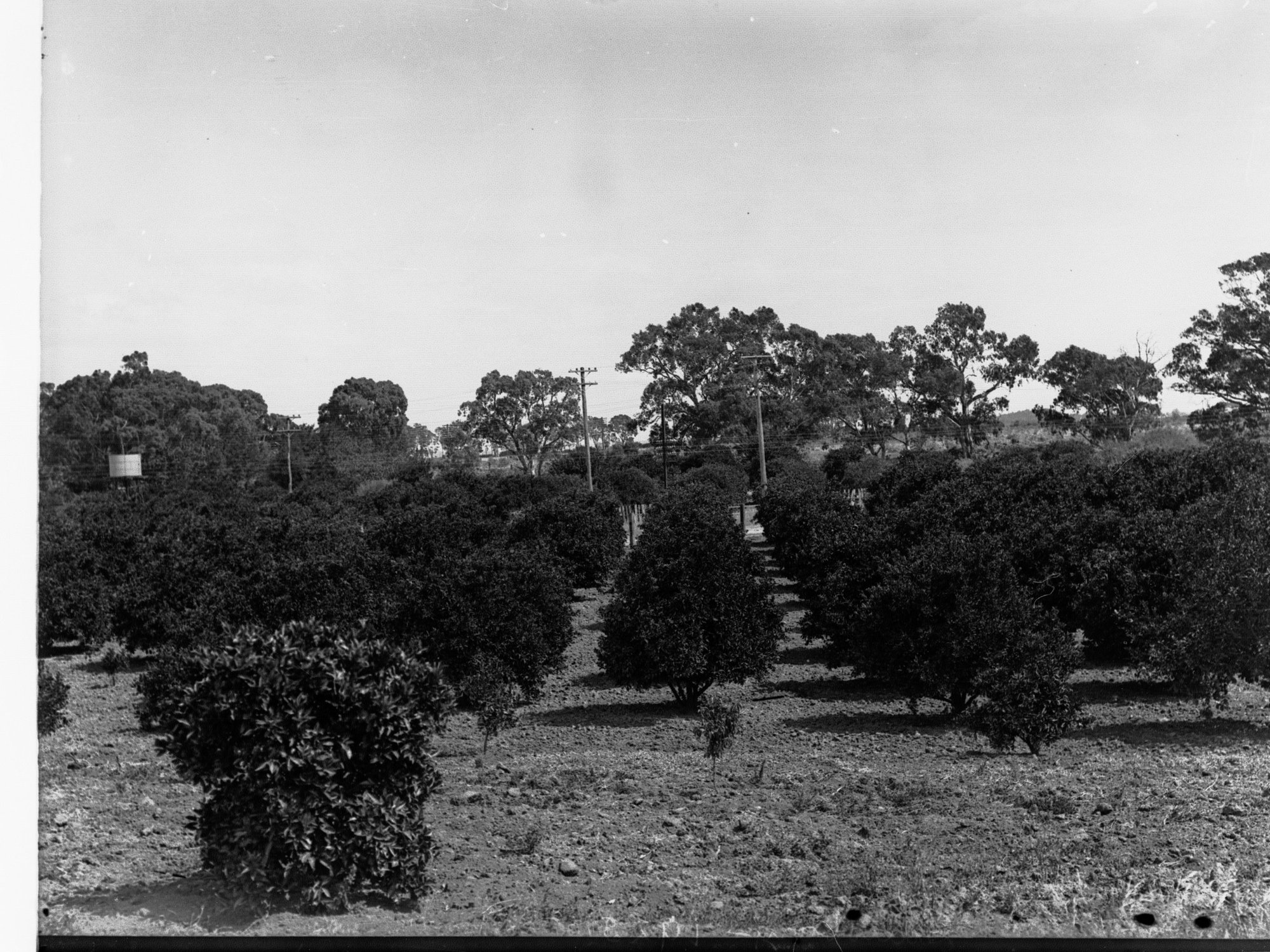 Orangery at Salisbury